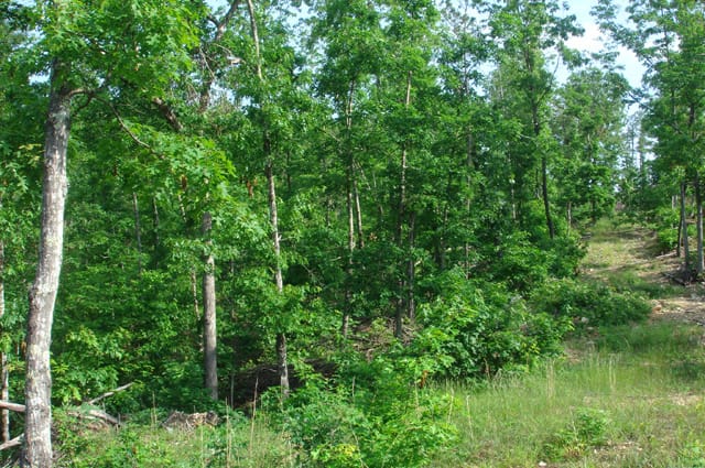 Deer Valley Tract 5 photo 5