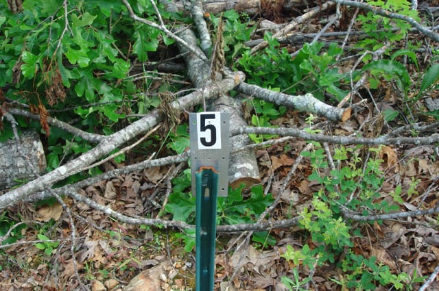 Deer Valley Tract 5 photo 1
