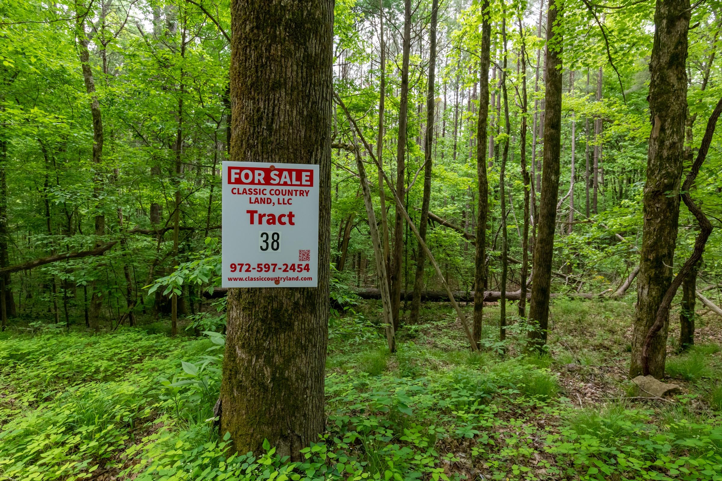 Cedar Creek Tract 38 photo 1