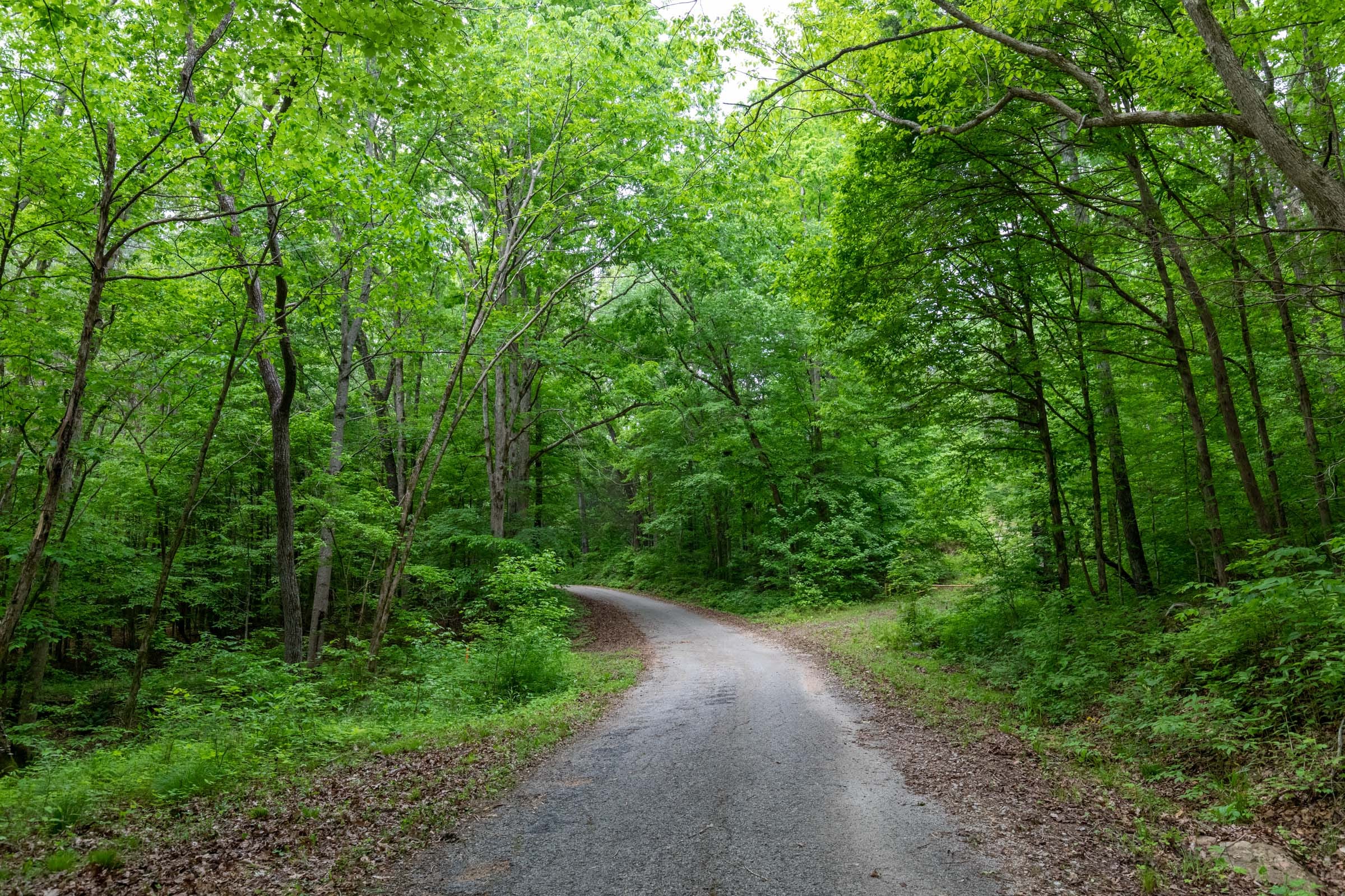 Cedar Creek Tract 38 photo 2