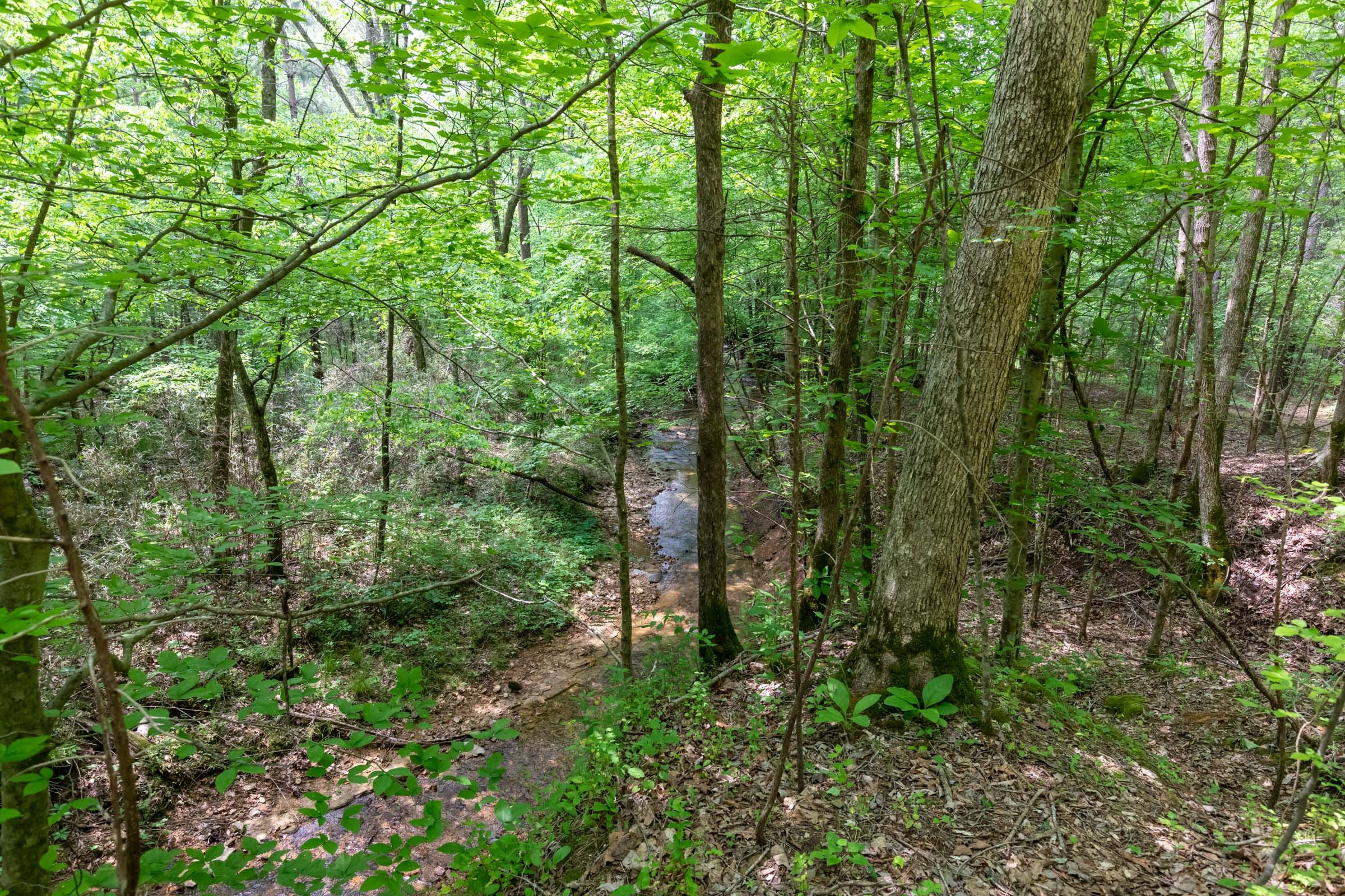 Cedar Creek Tract 38 photo 3