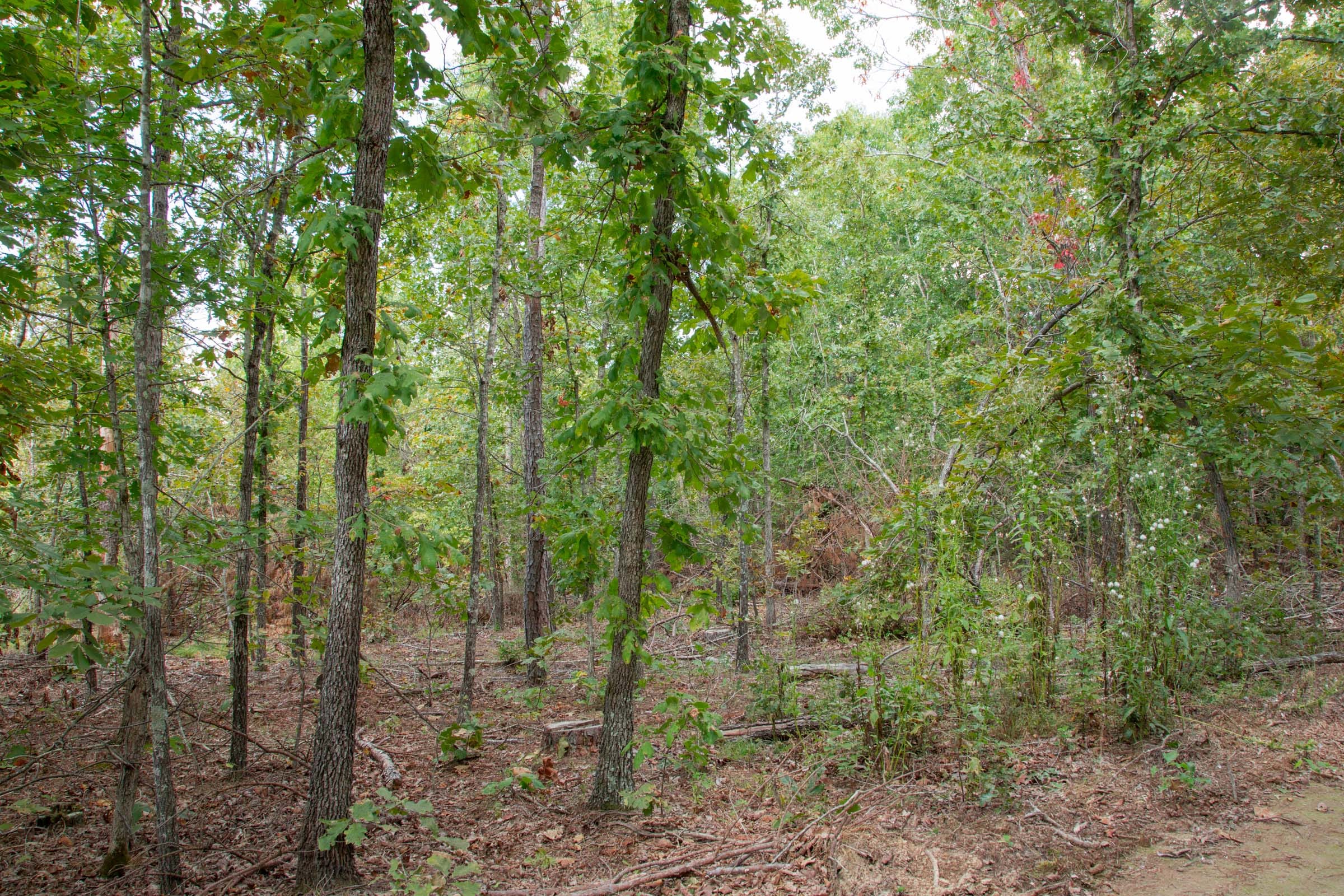 Wagon Wheel Ranch Tract 54 photo 1
