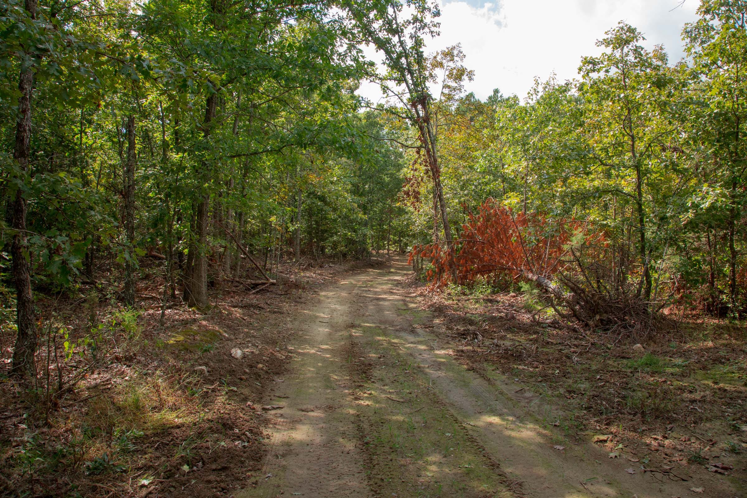 Wagon Wheel Ranch Tract 54 photo 4