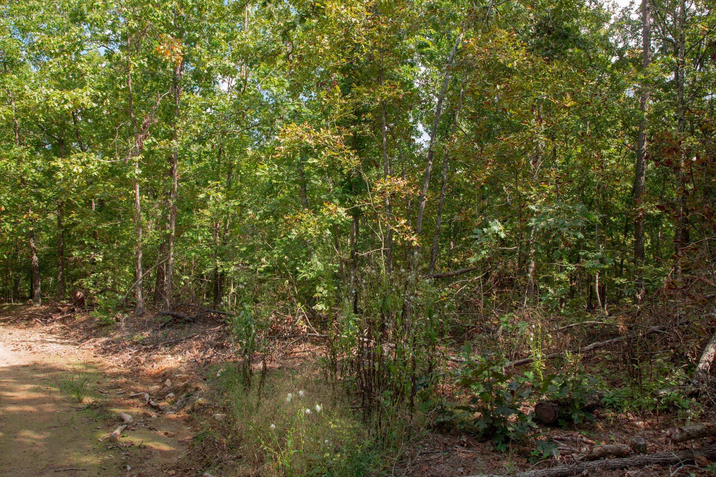 Wagon Wheel Ranch Tract 54 photo 5