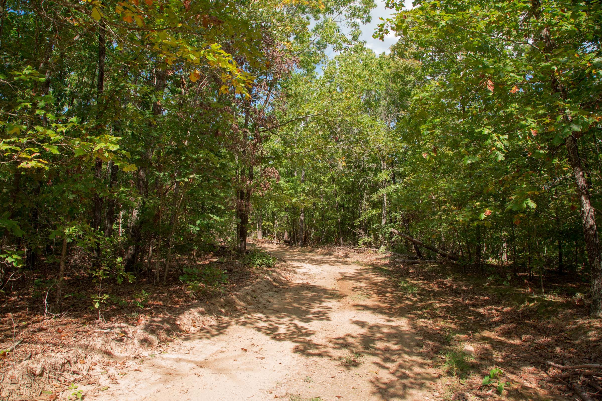 Wagon Wheel Ranch Tract 54 photo 7