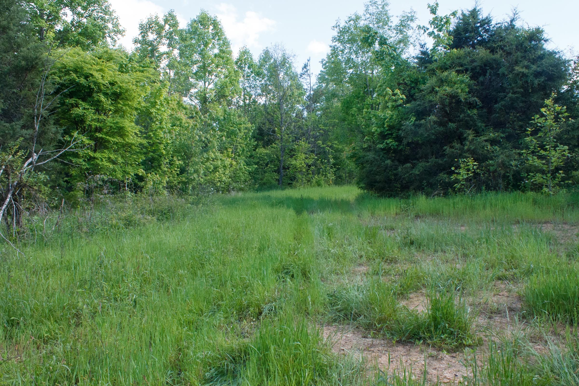 Riverbend Tract 22 photo 2