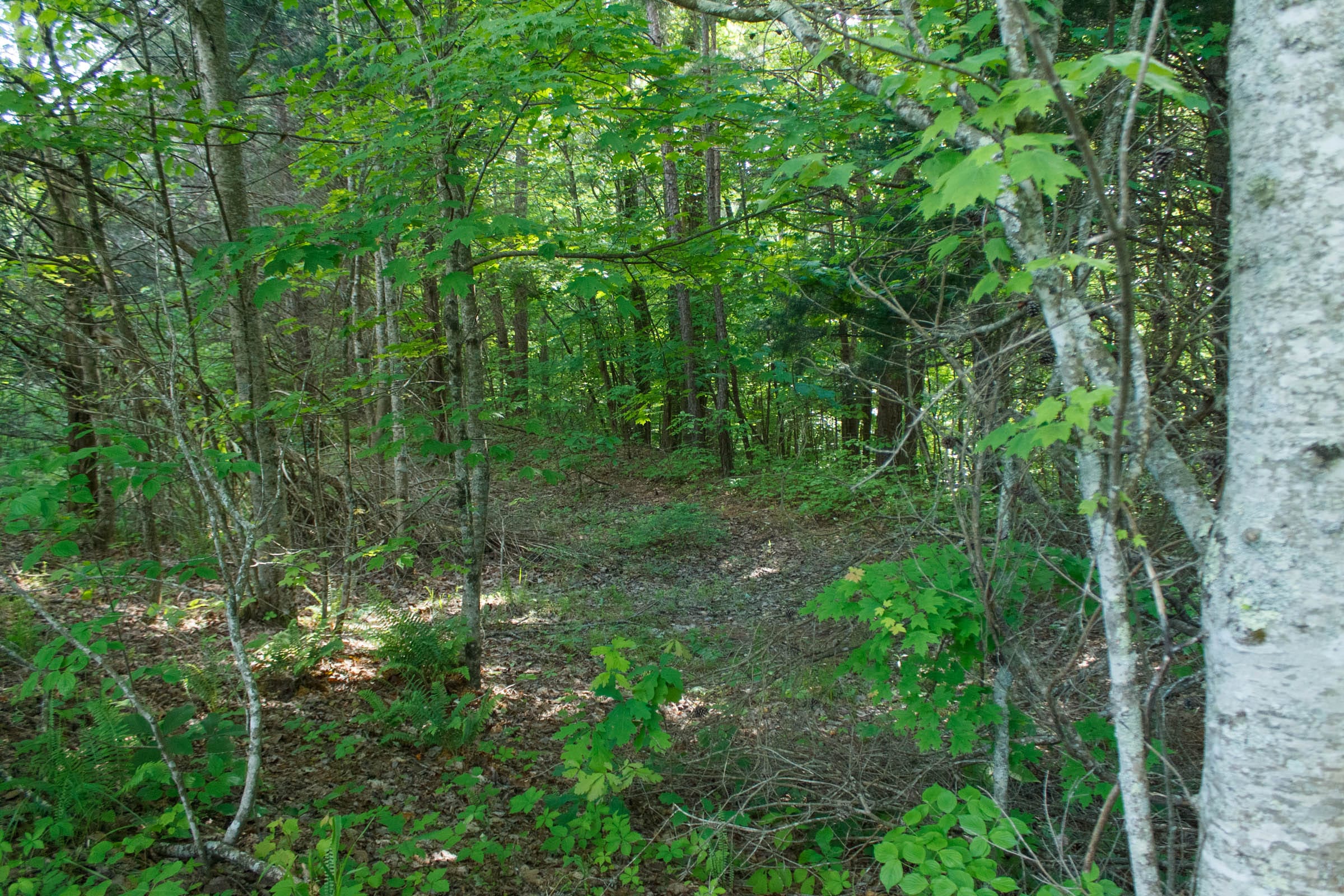Riverbend Tract 22 photo 3