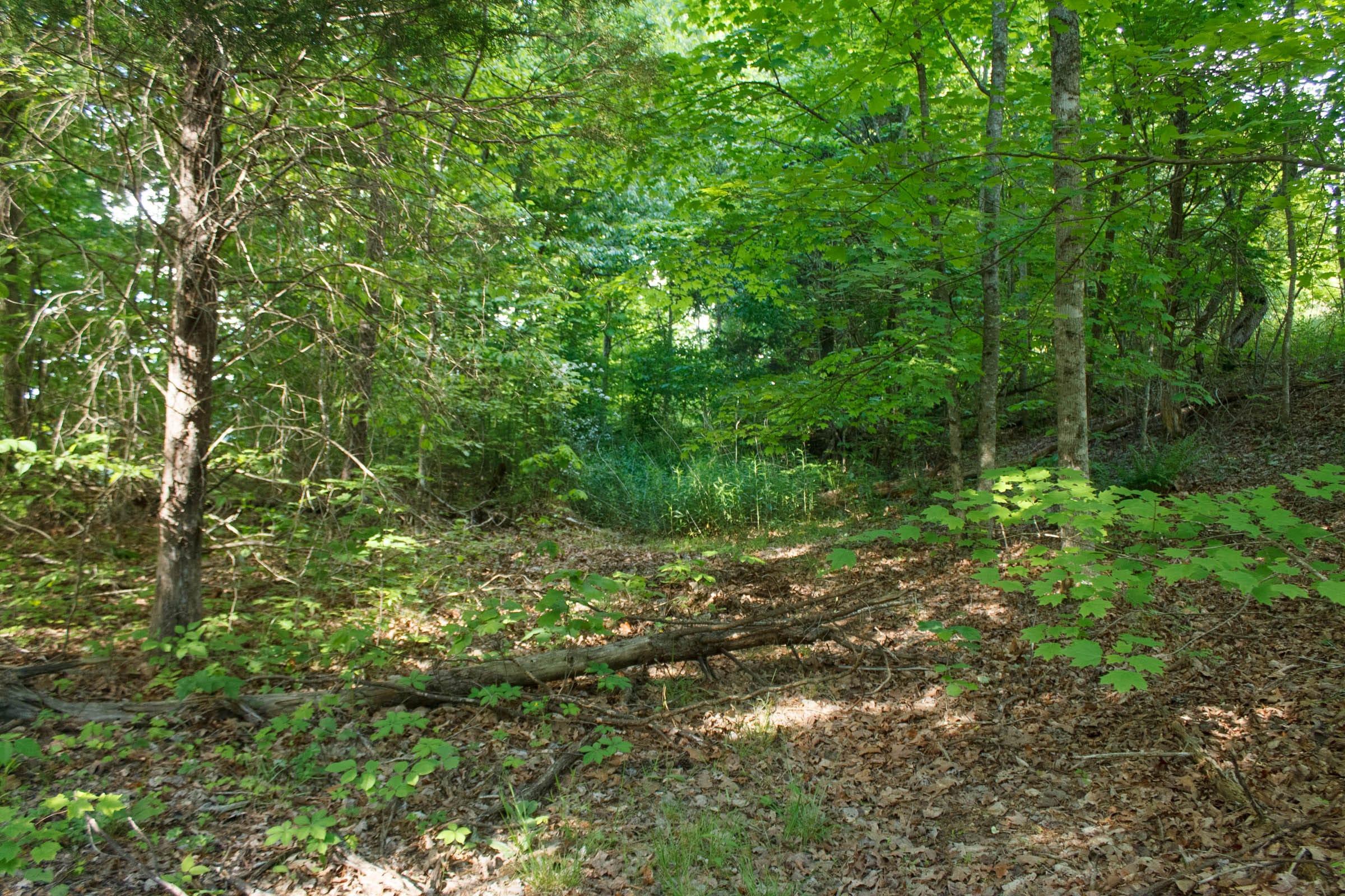 Riverbend Tract 22 photo 4