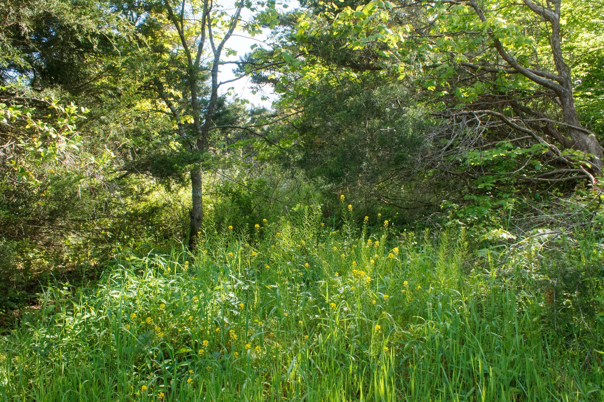 Riverbend Tract 22 photo 10