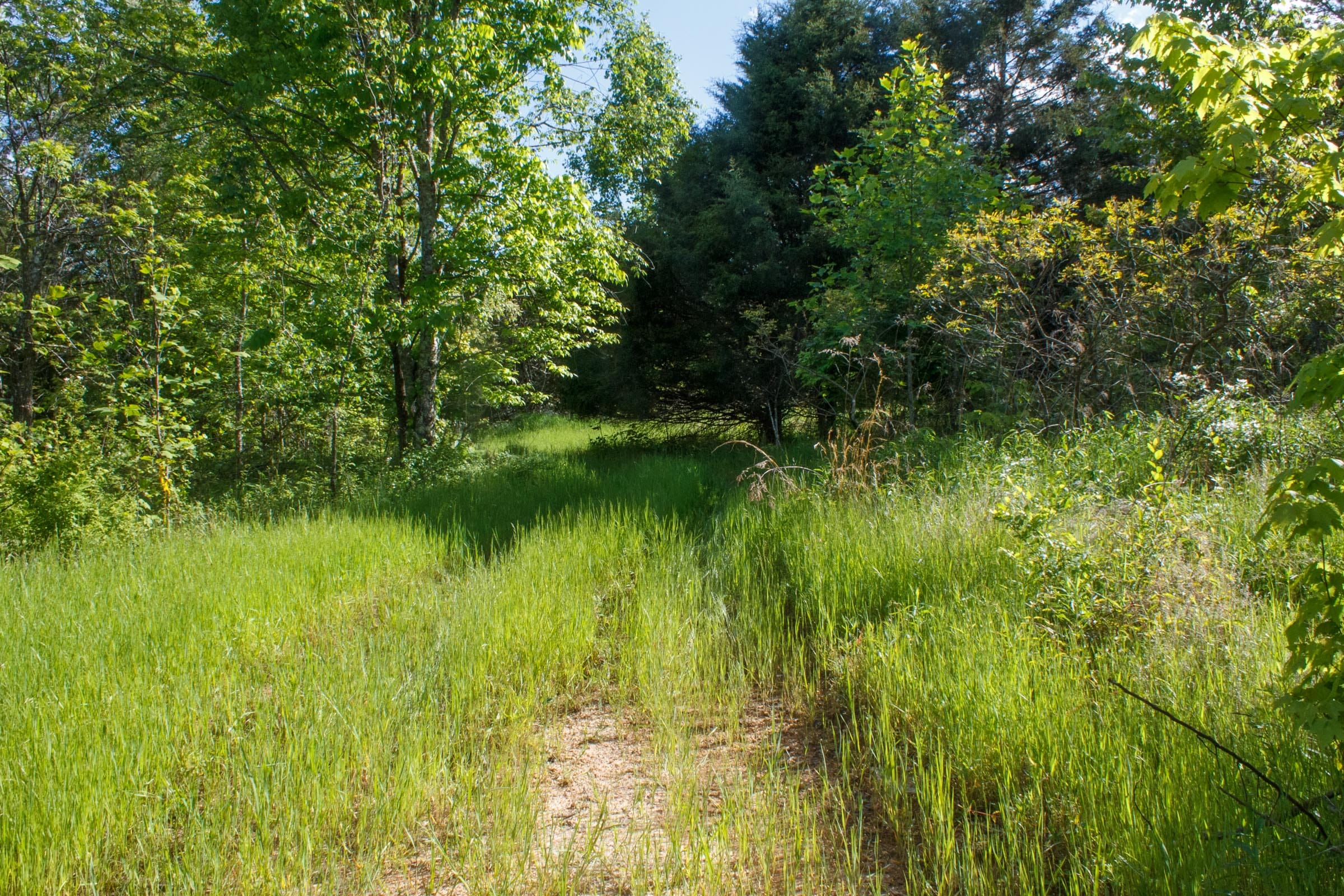 Riverbend Tract 22 photo 11