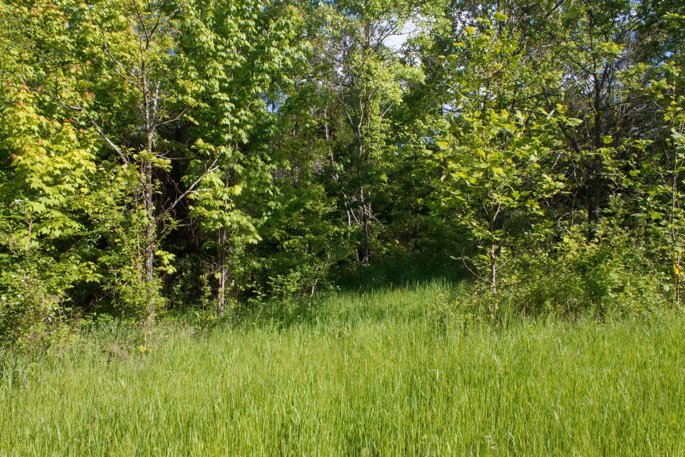 Riverbend Tract 22 photo 12
