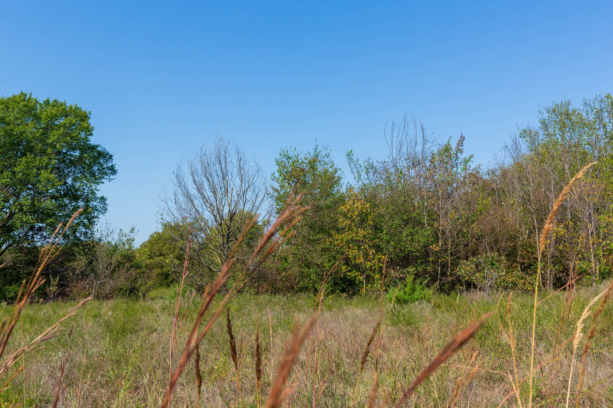 Canyon Creek Tract 9 photo 9