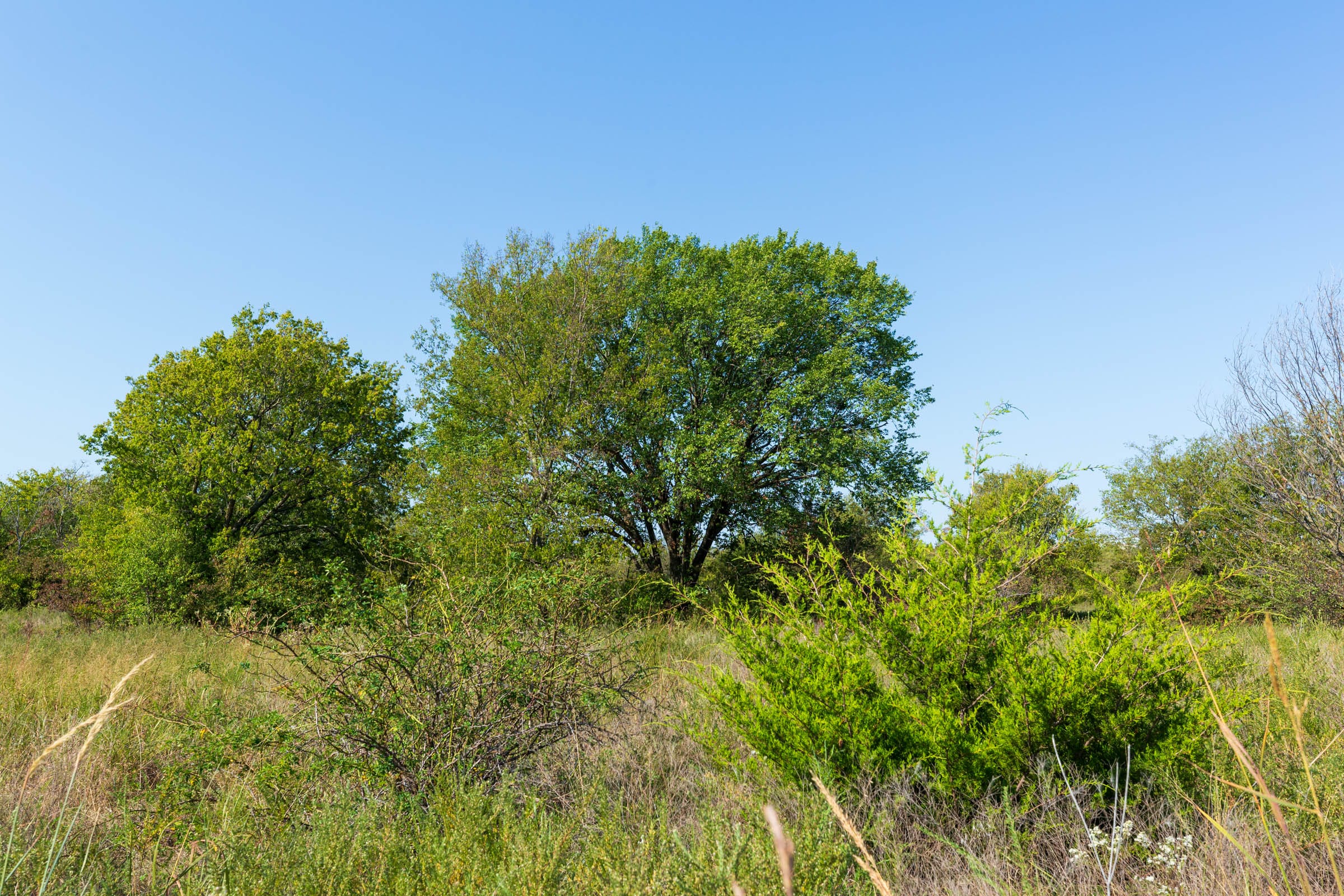 Canyon Creek Tract 9 photo 4
