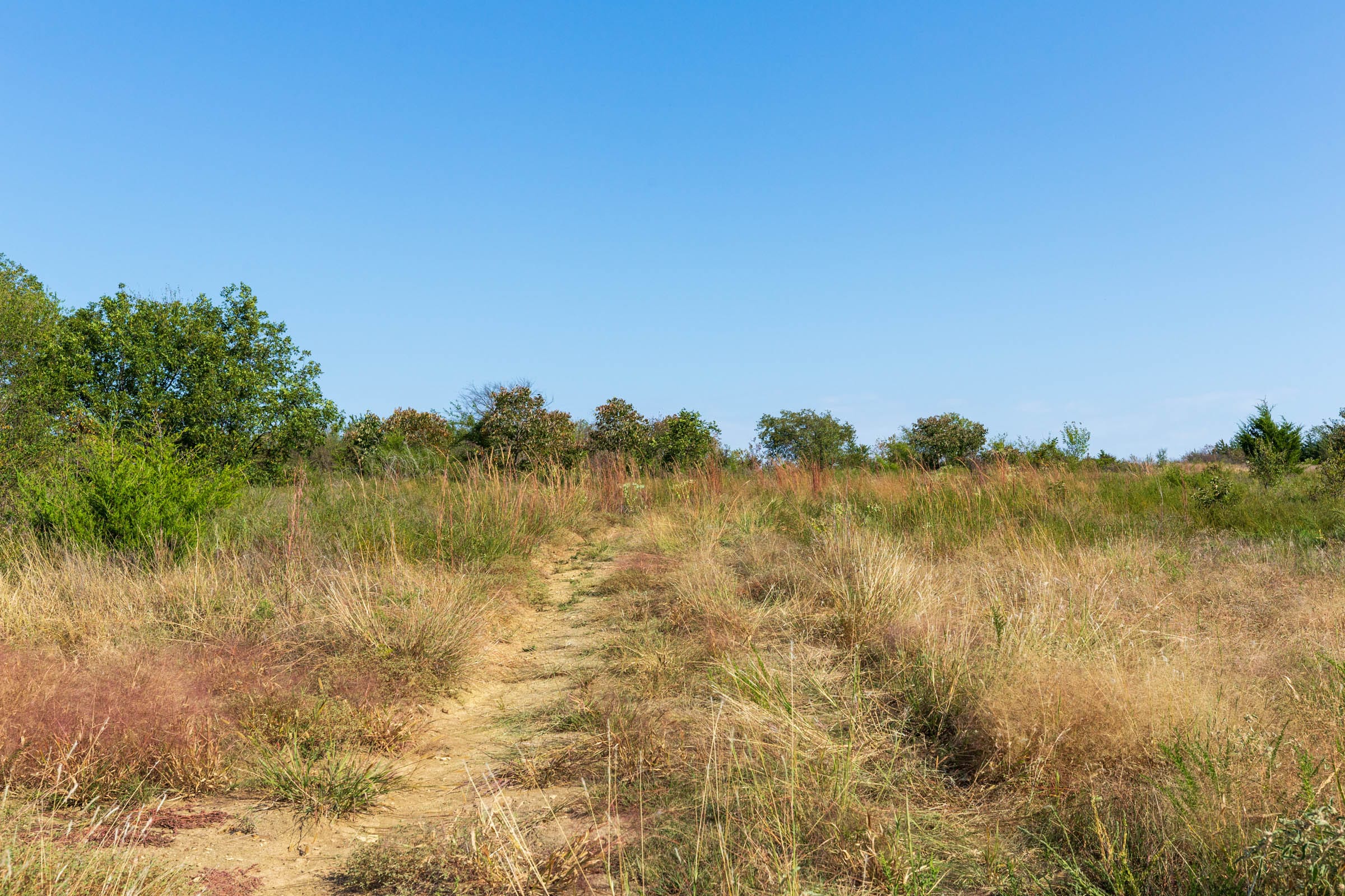 Canyon Creek Tract 9 photo 1