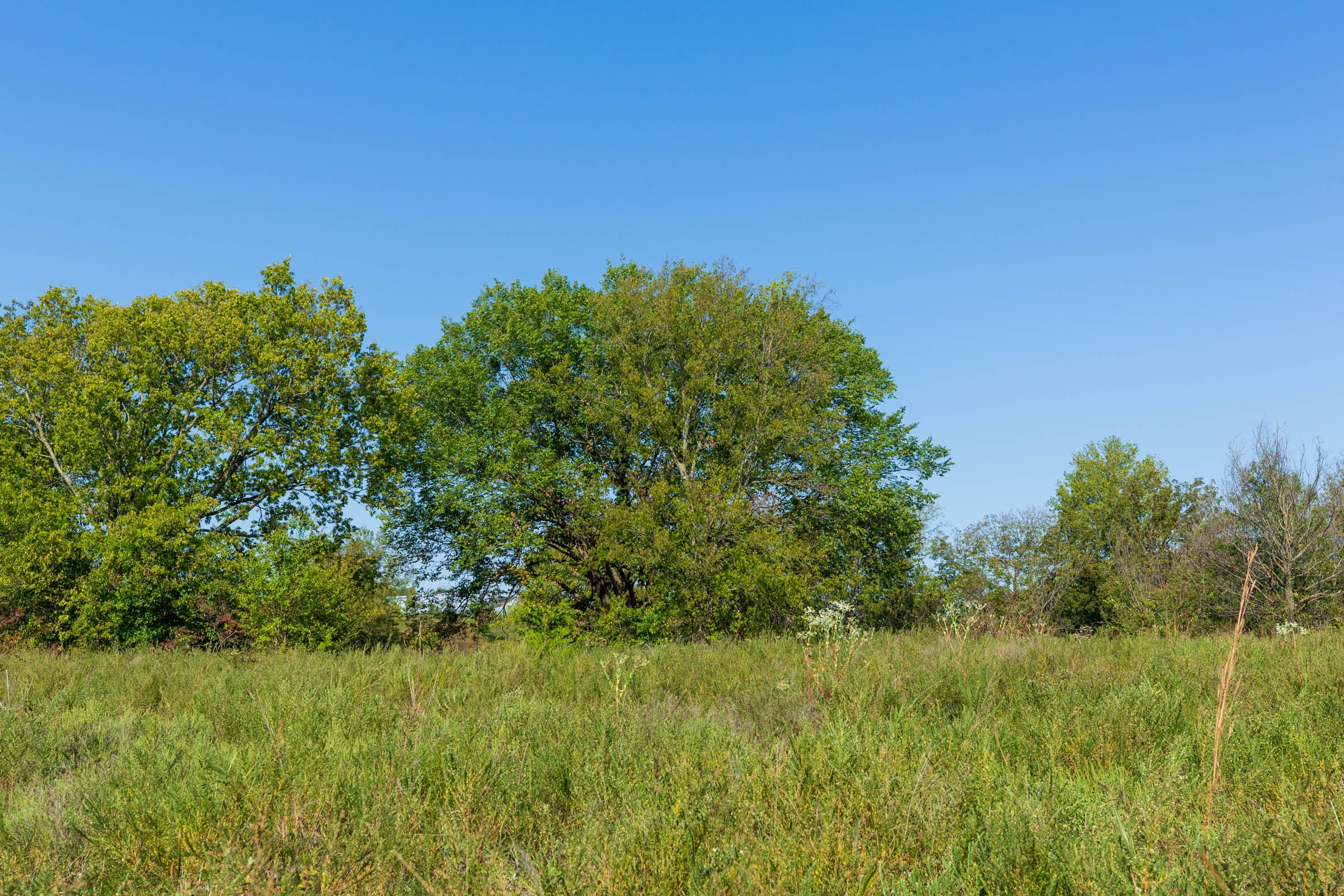 Canyon Creek Tract 9 photo 8