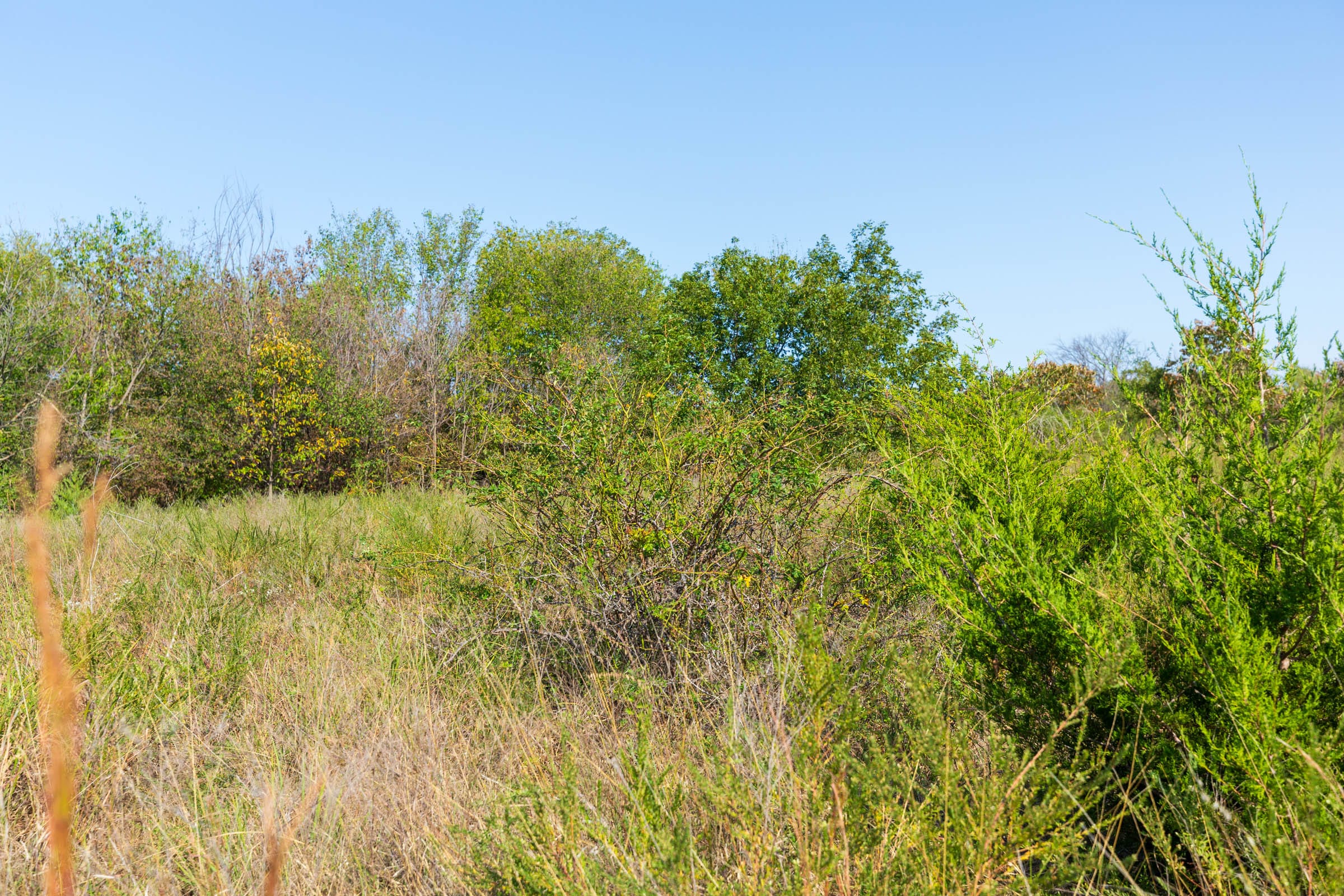 Canyon Creek Tract 9 photo 6