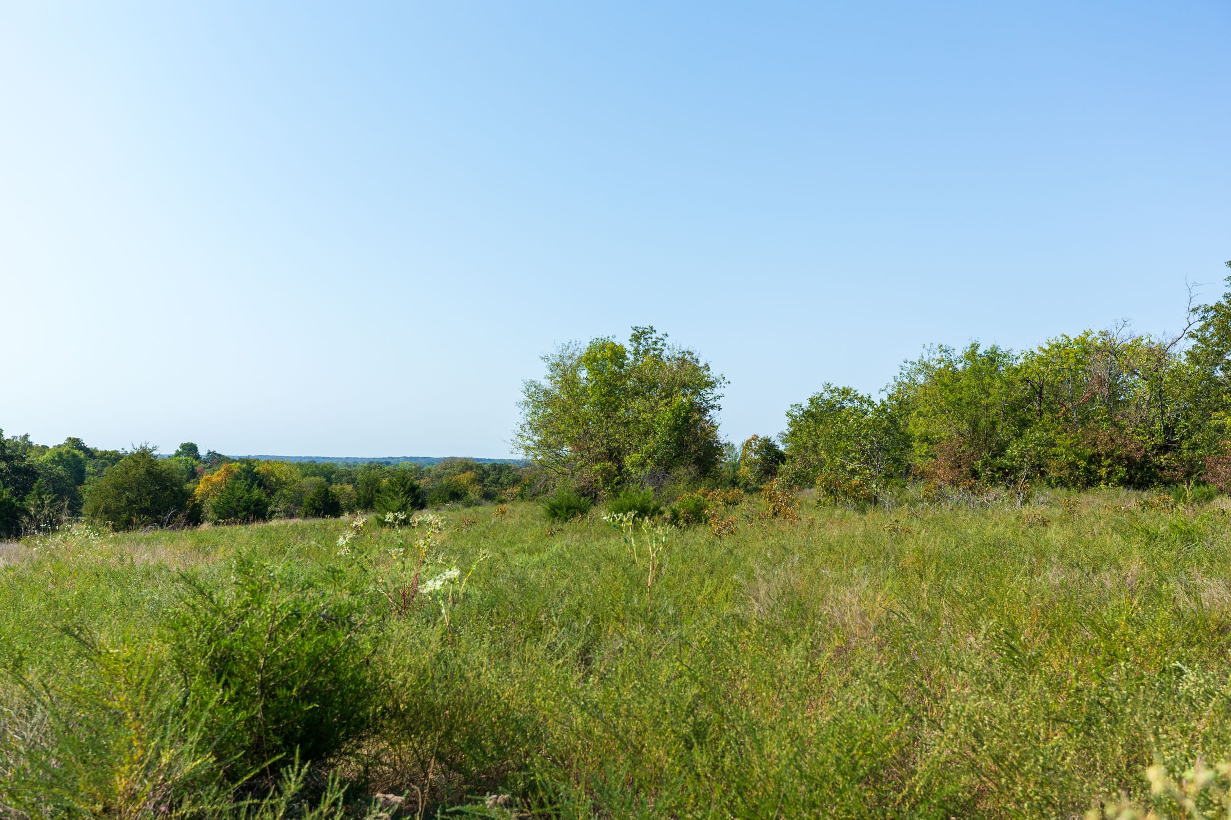 Canyon Creek Tract 9 photo 2