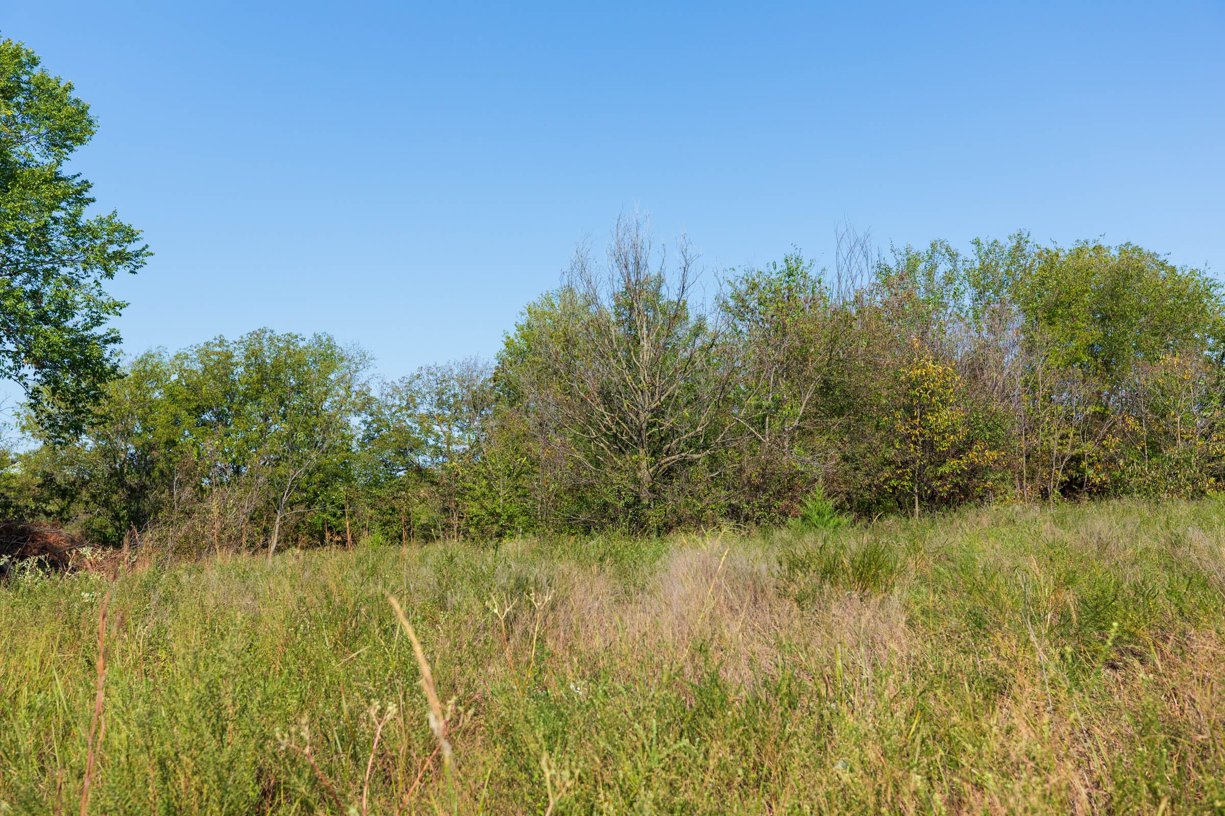 Canyon Creek Tract 9 photo 3
