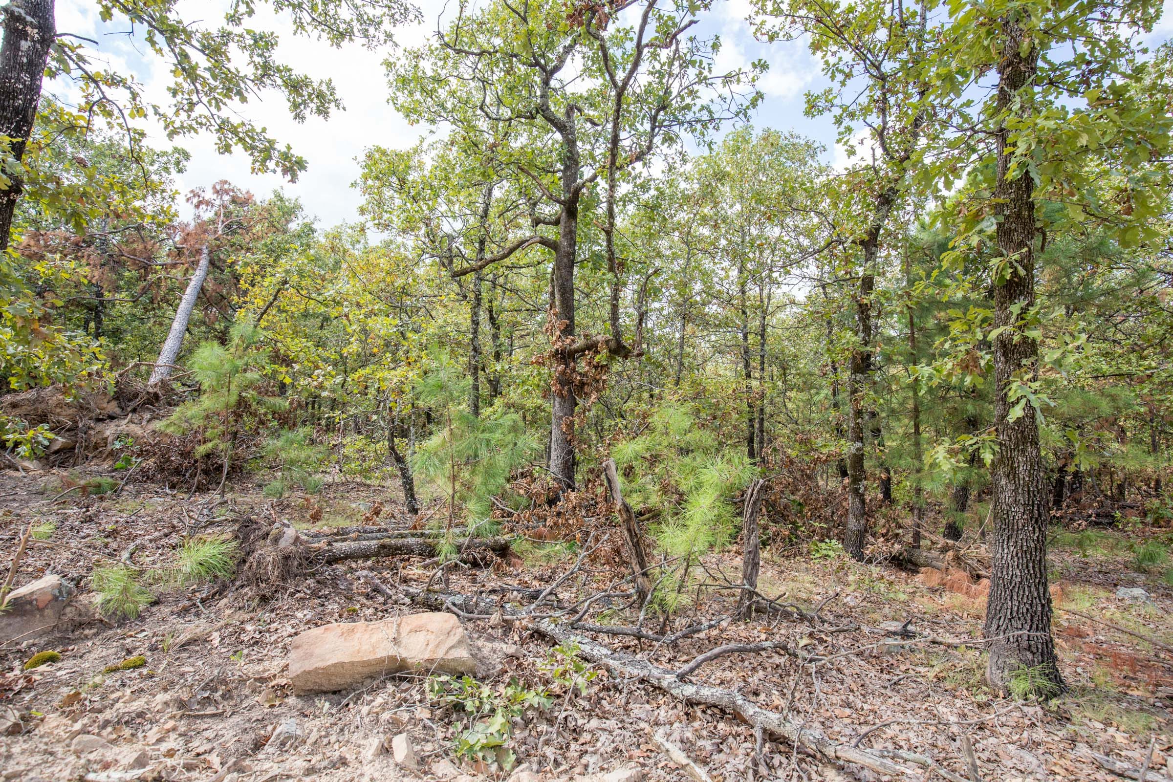 Stone Bridge Phase I Tract 45 photo 6
