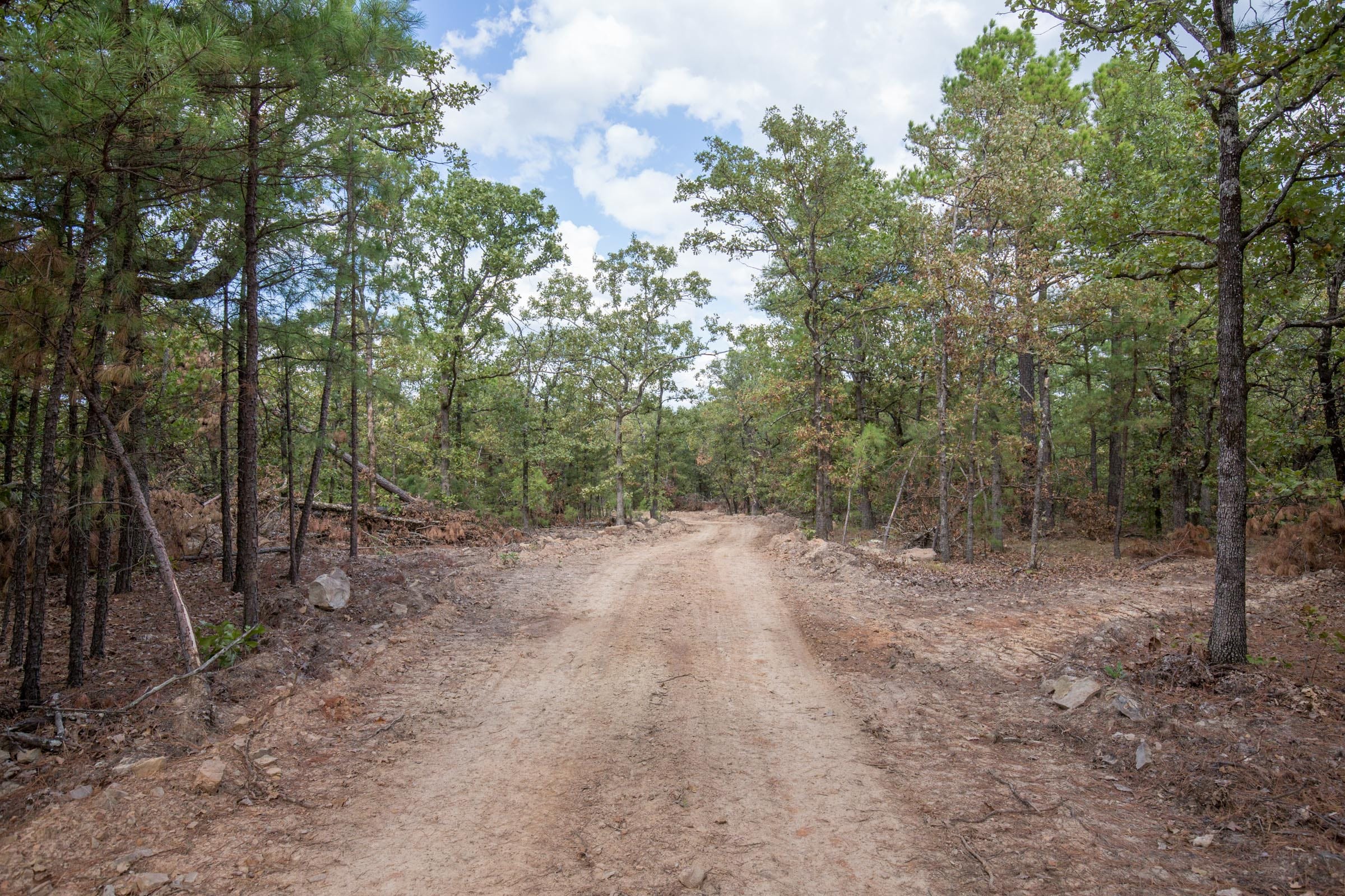 Stone Bridge Phase I Tract 45 photo 8