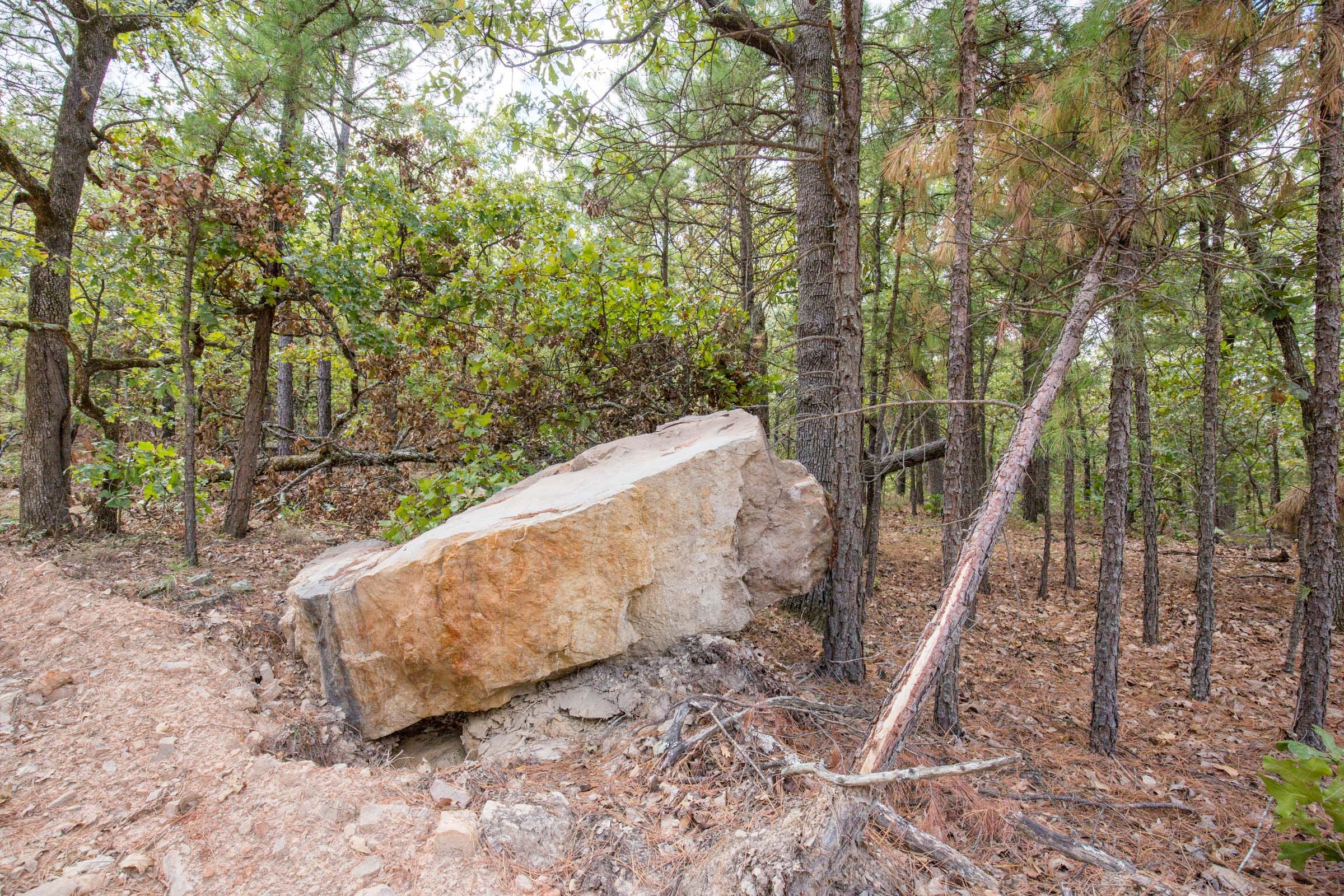 Stone Bridge Phase I Tract 45 photo 9