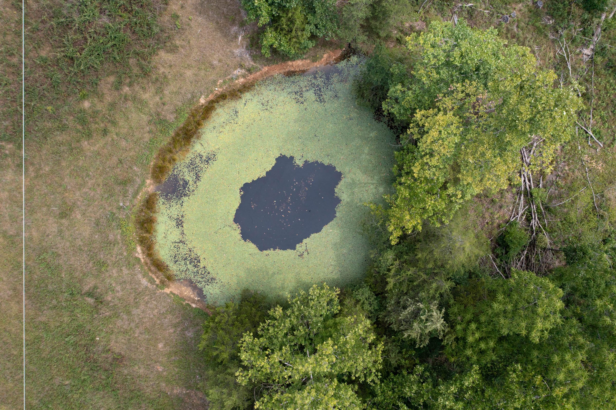 Wildwood Tract 31 photo 2