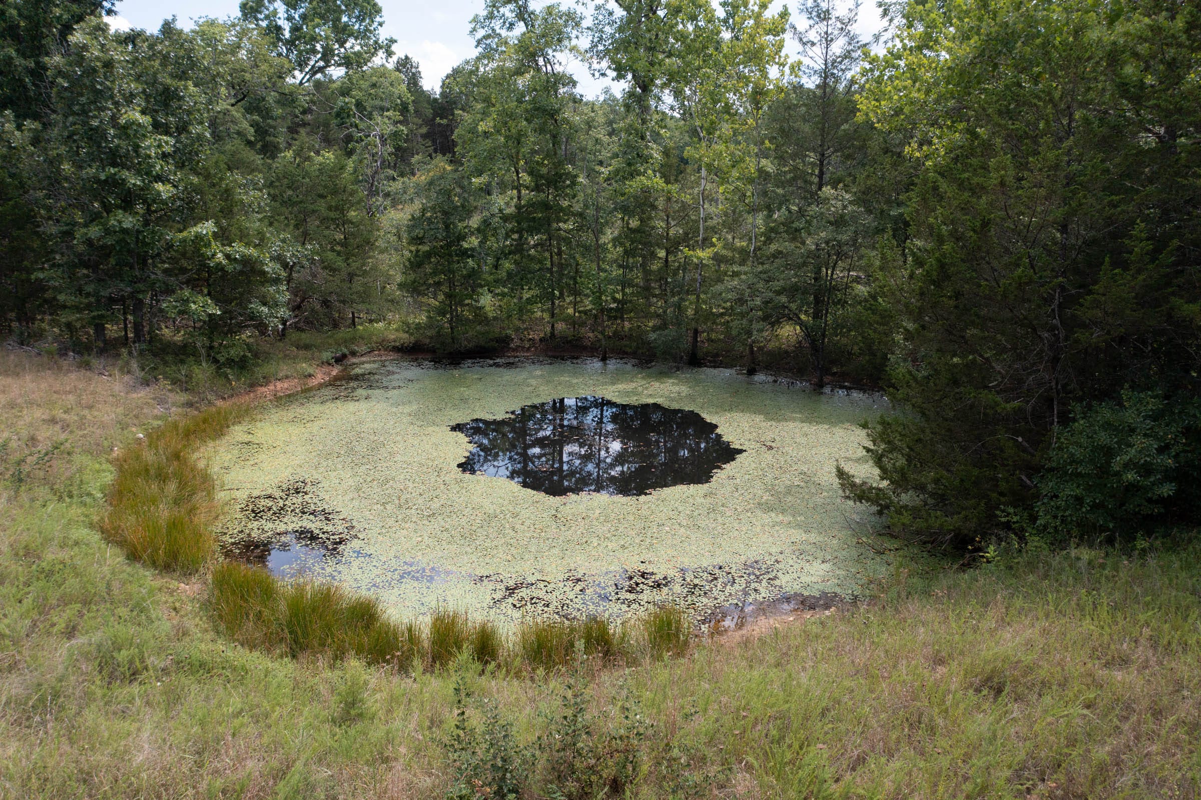 Wildwood Tract 31 photo 3