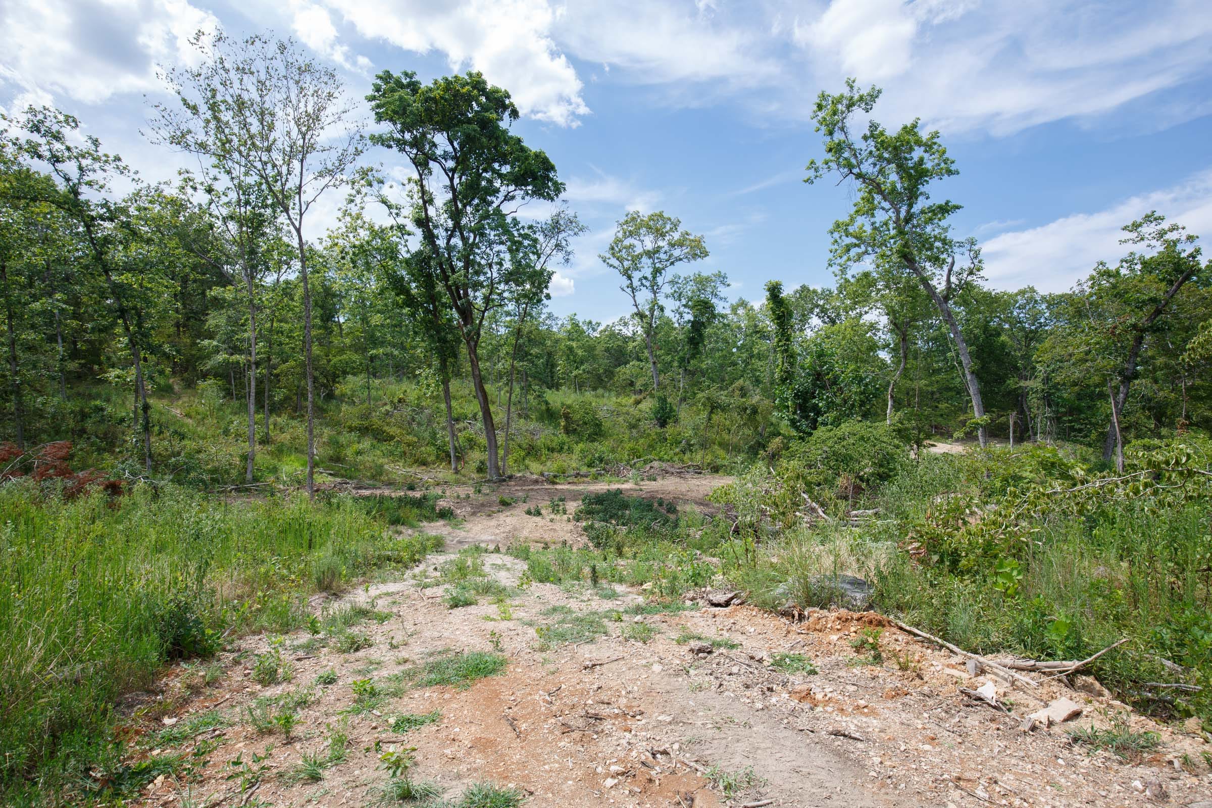 Wildwood Tract 31 photo 7