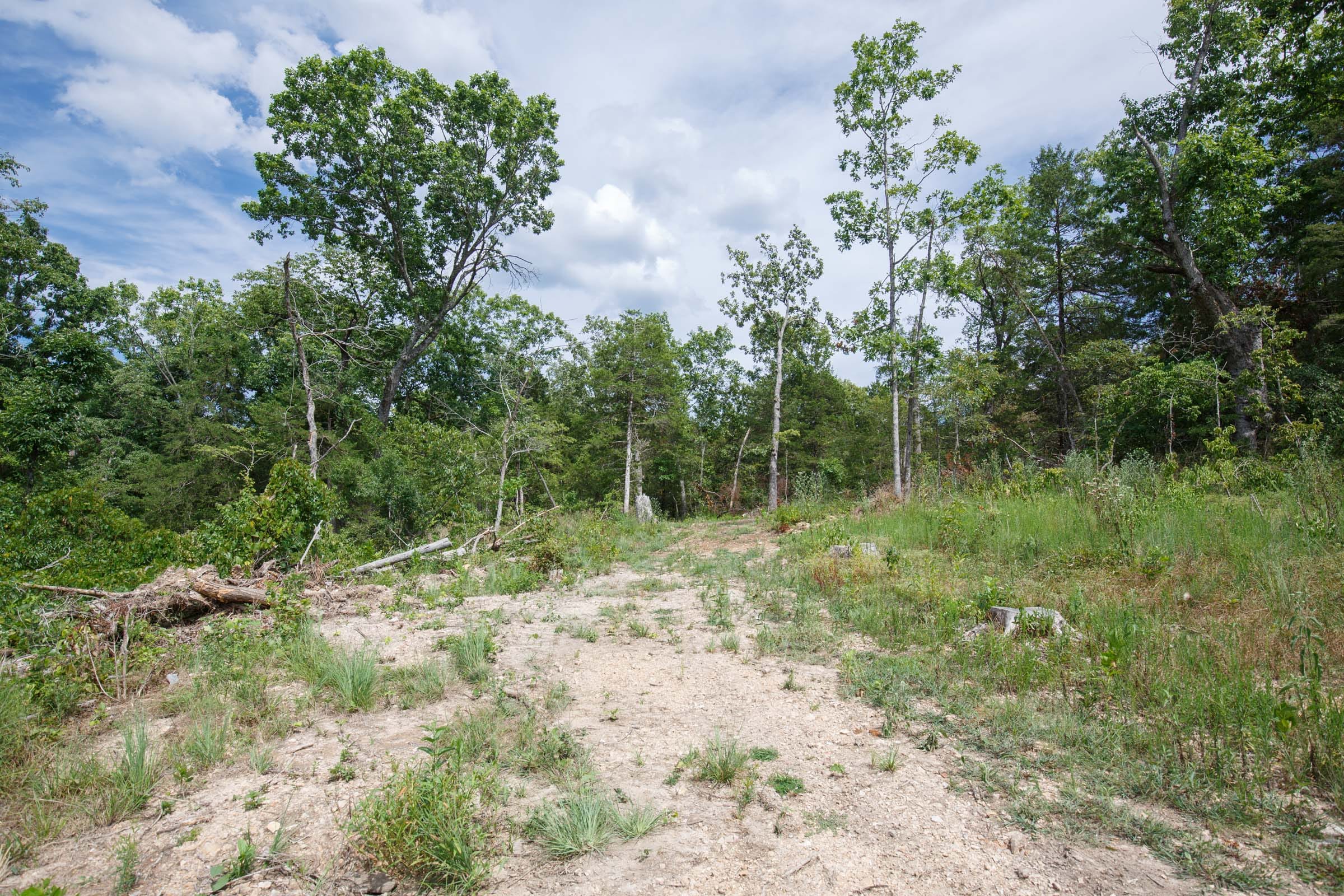 Wildwood Tract 31 photo 10