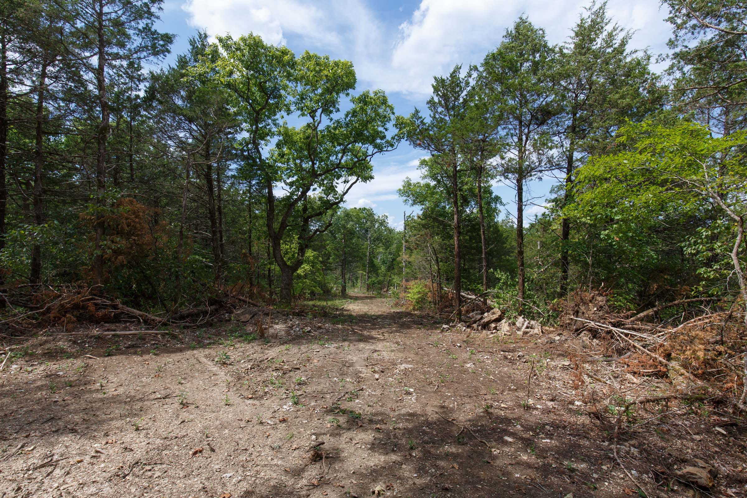 Wildwood Tract 31 photo 13