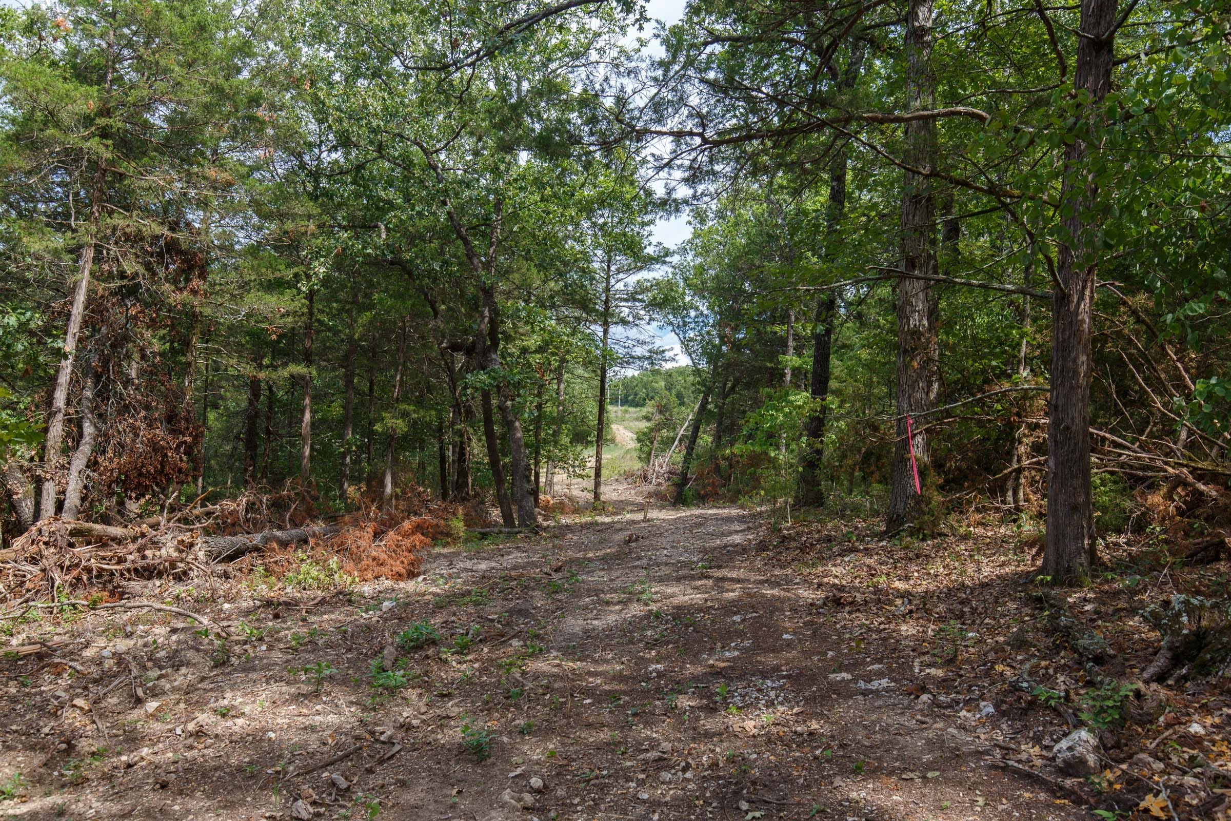 Wildwood Tract 31 photo 1