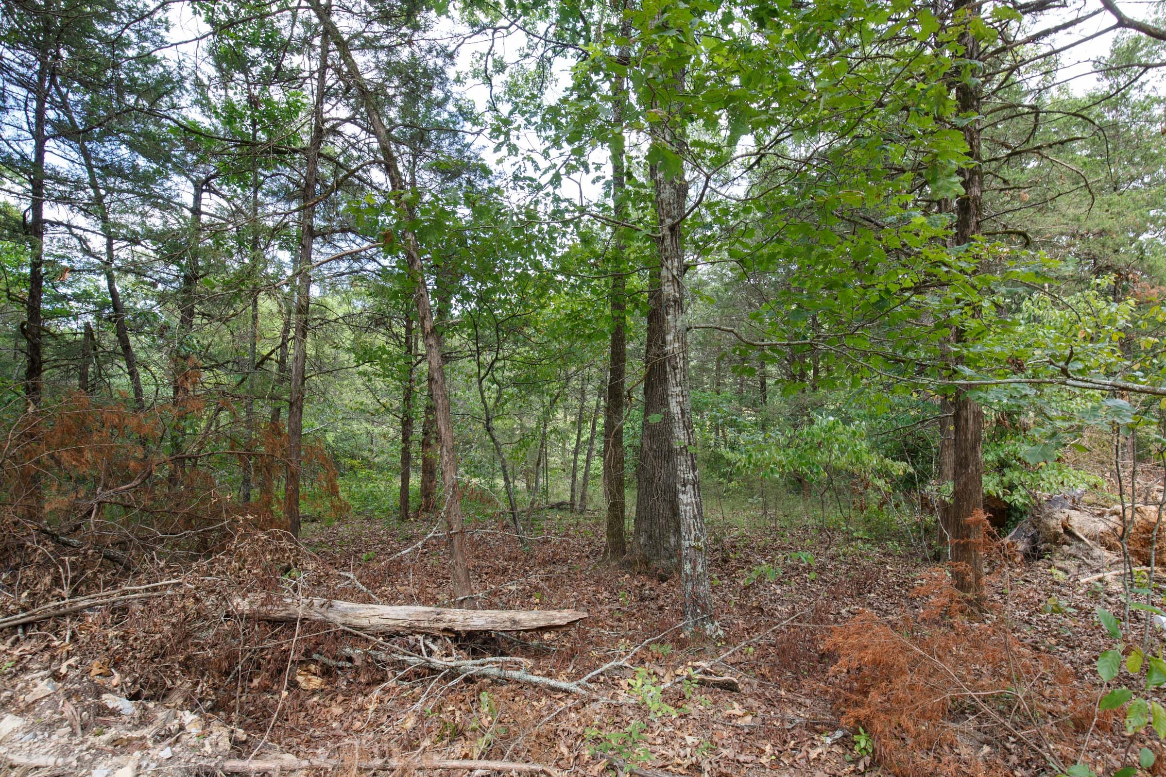 Wildwood Tract 31 photo 14