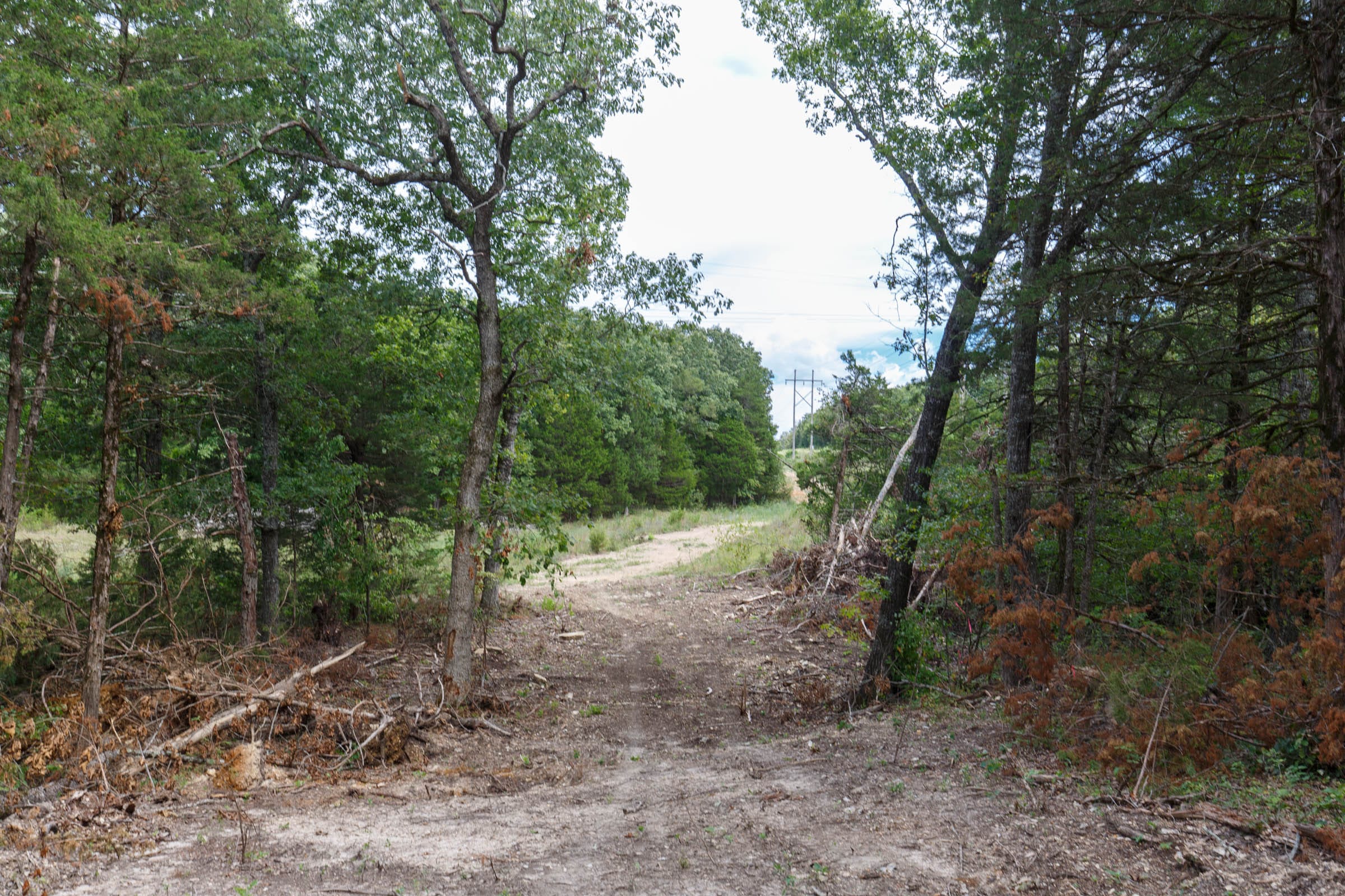 Wildwood Tract 31 photo 4
