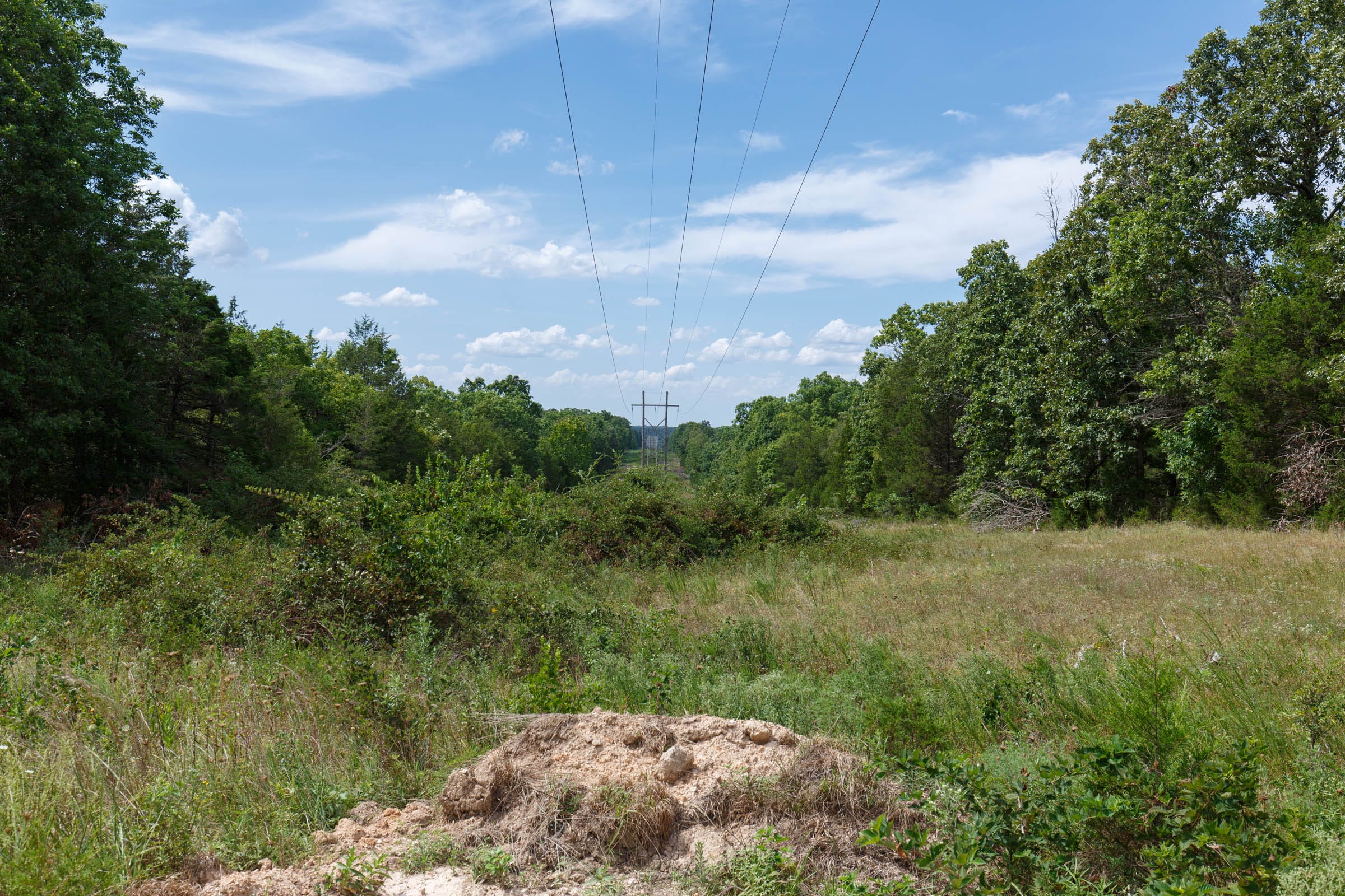 Wildwood Tract 31 photo 5