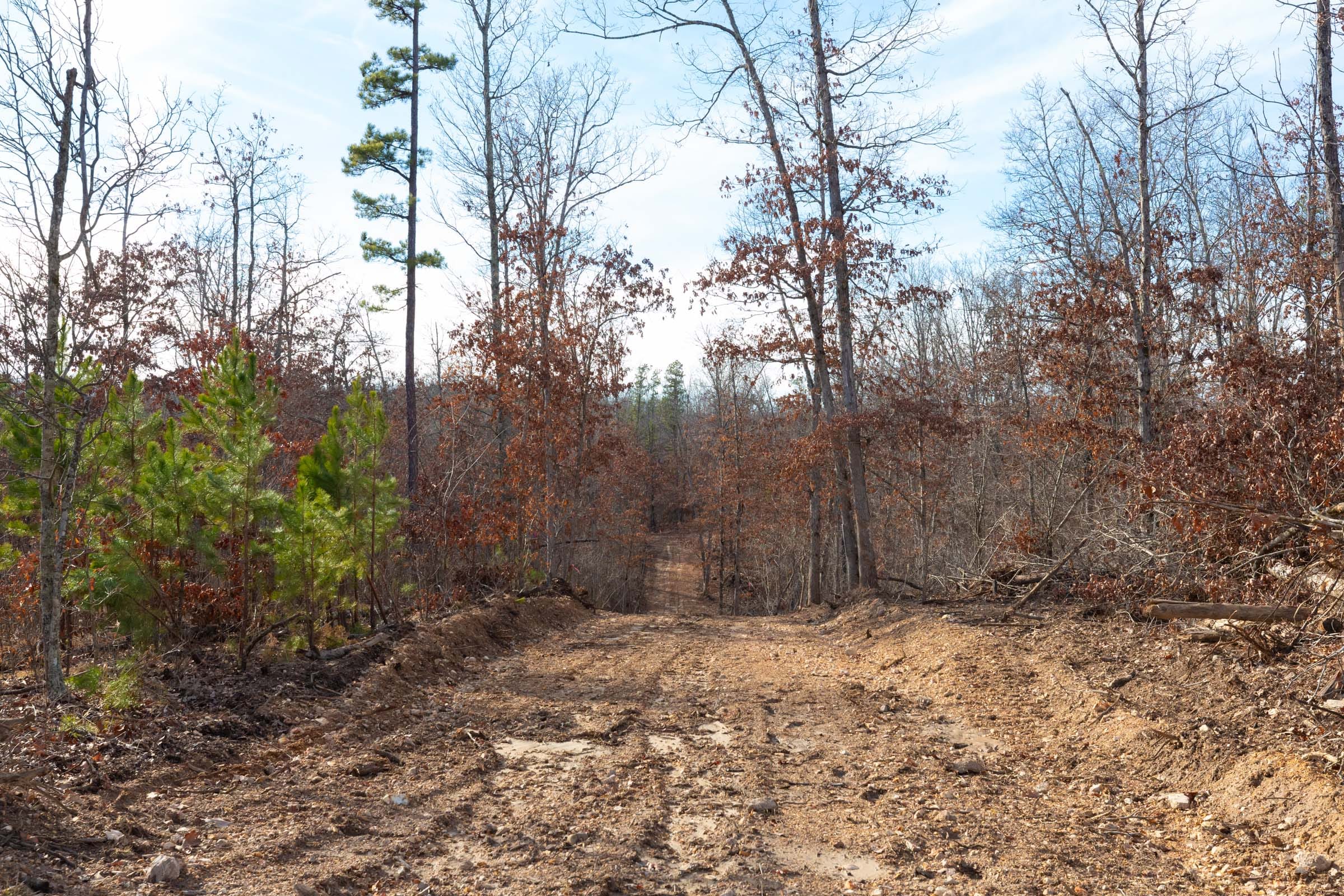 Windy Ridge Tract 7 photo 4