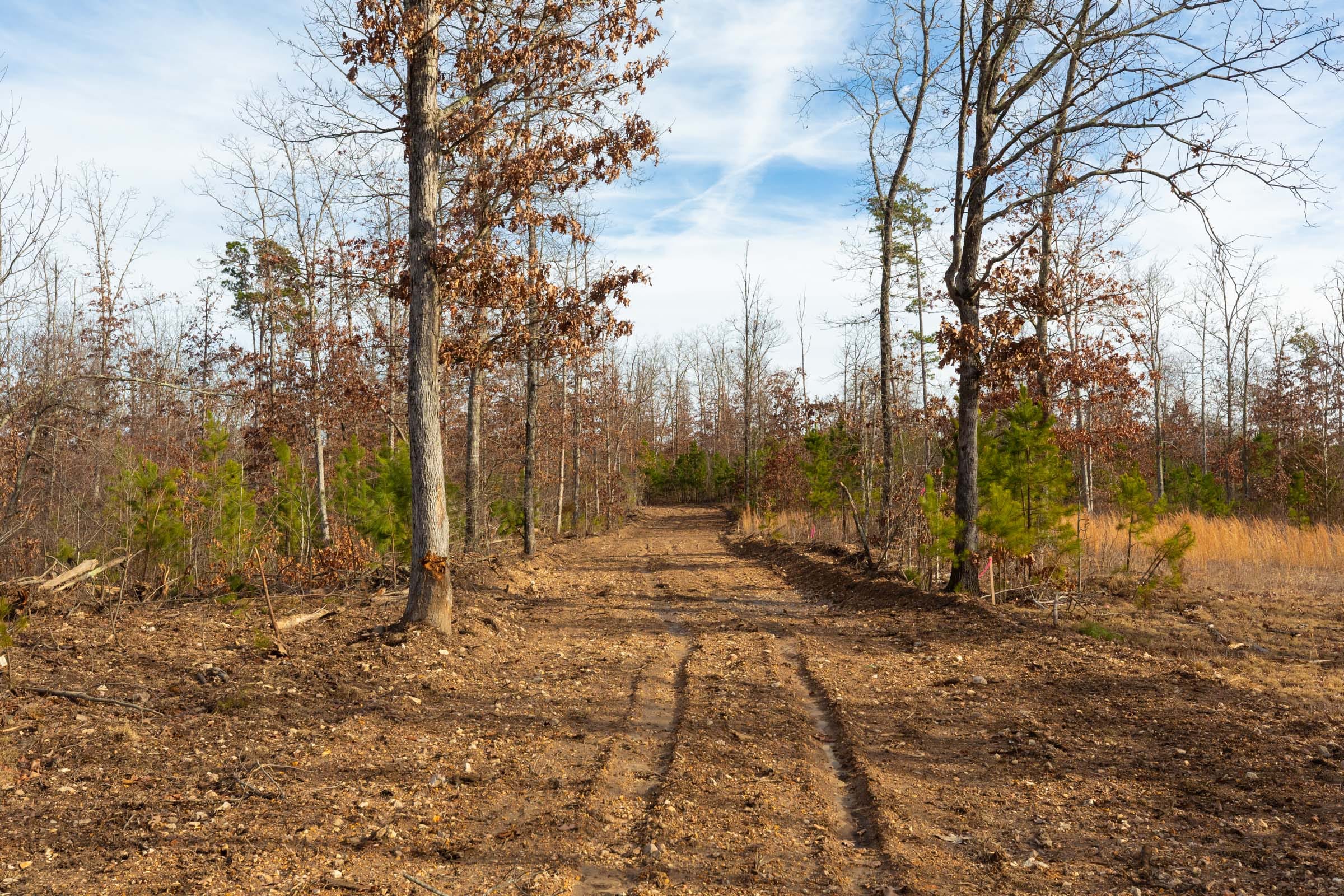 Windy Ridge Tract 7 photo 1