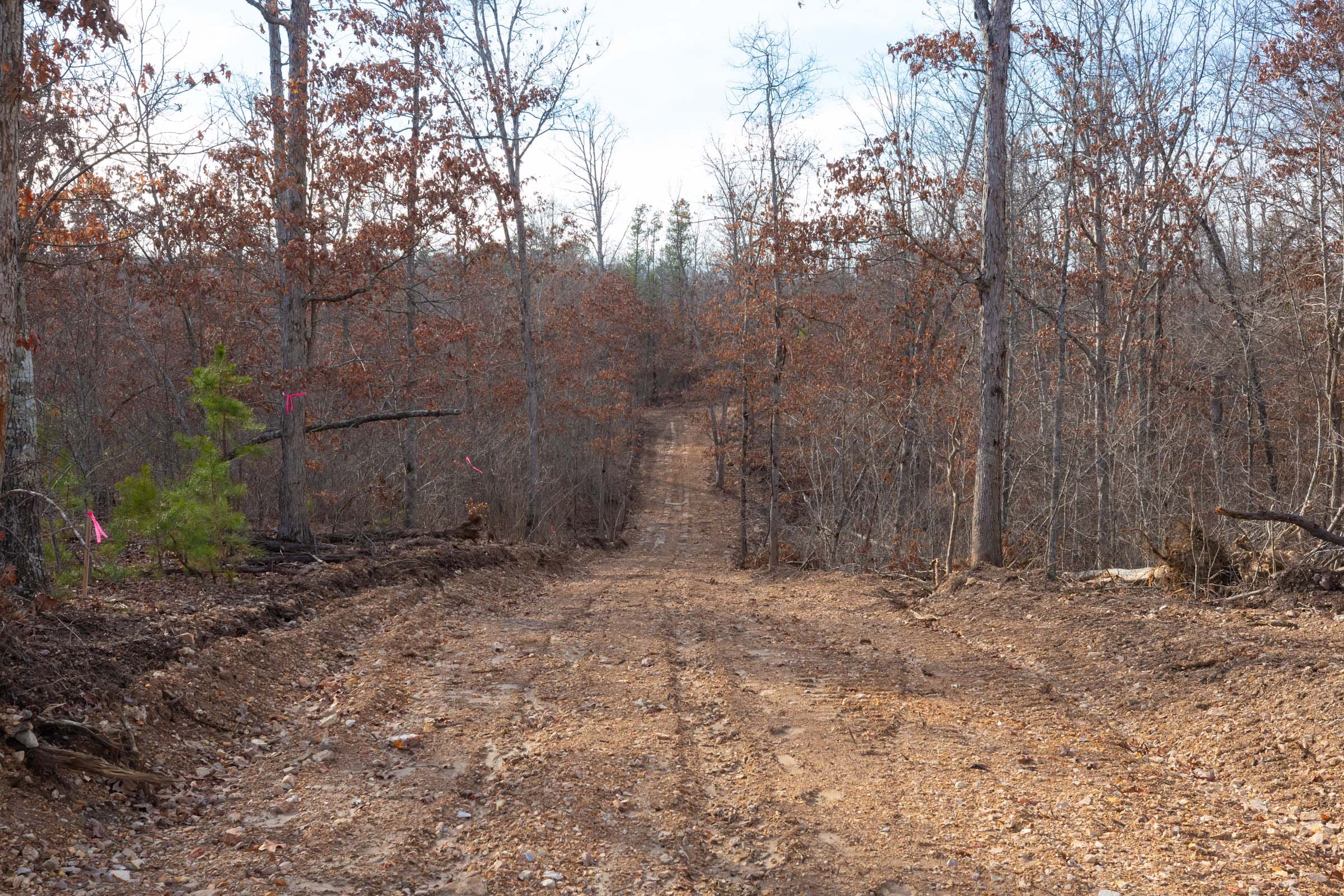Windy Ridge Tract 7 photo 10