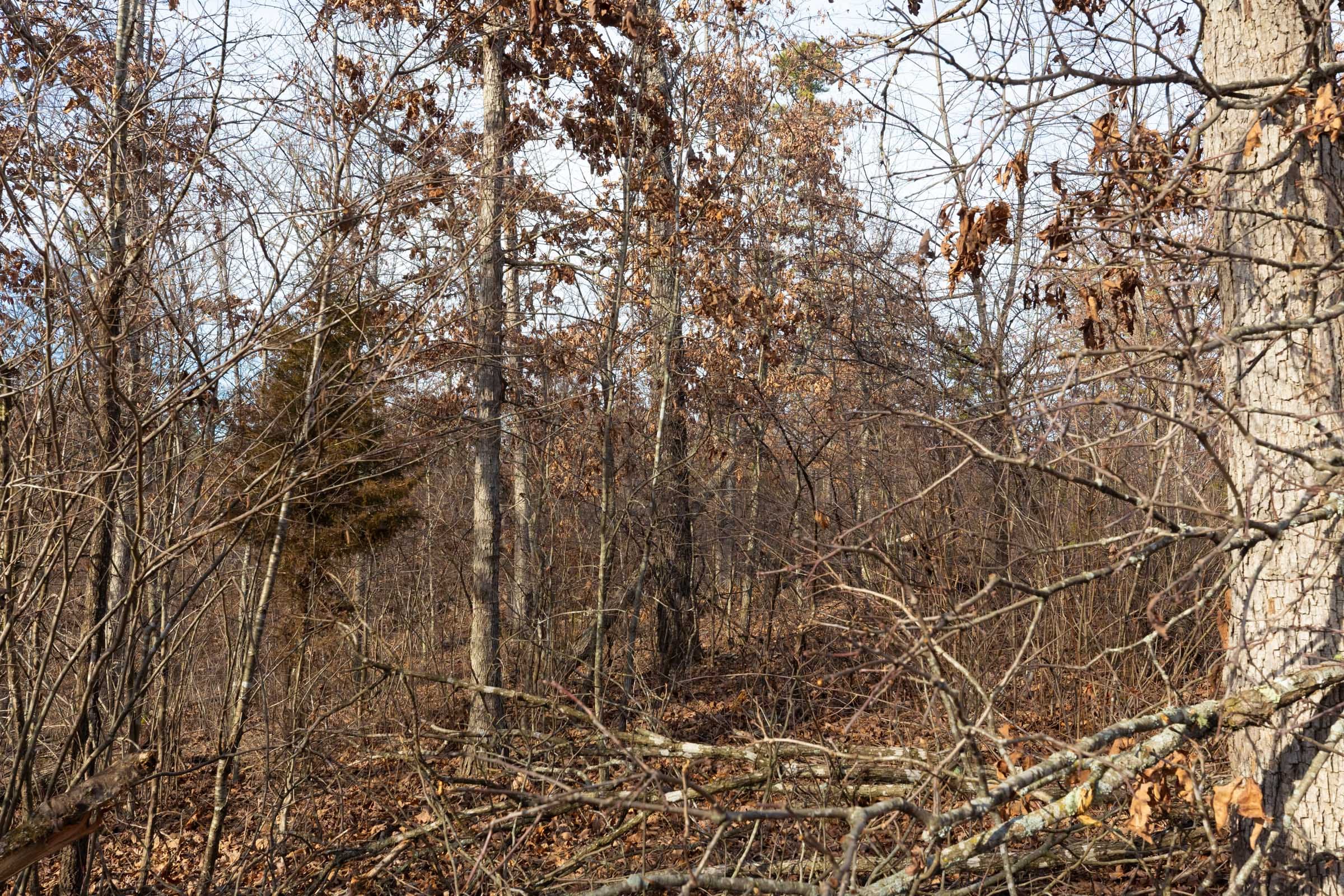 Windy Ridge Tract 7 photo 2