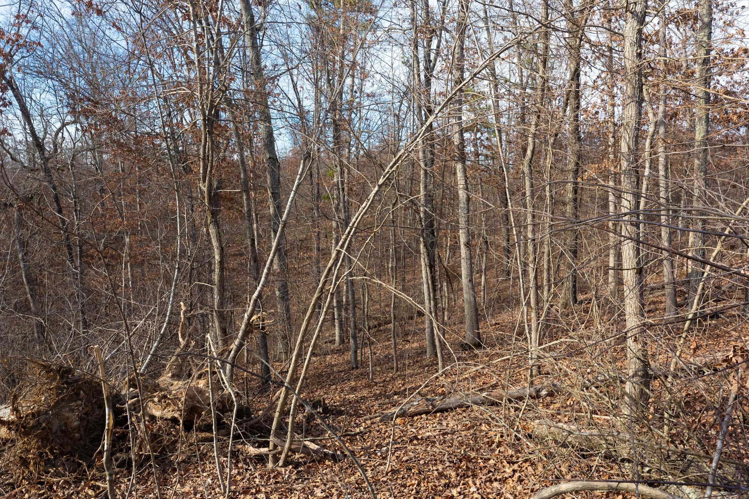 Windy Ridge Tract 7 photo 3