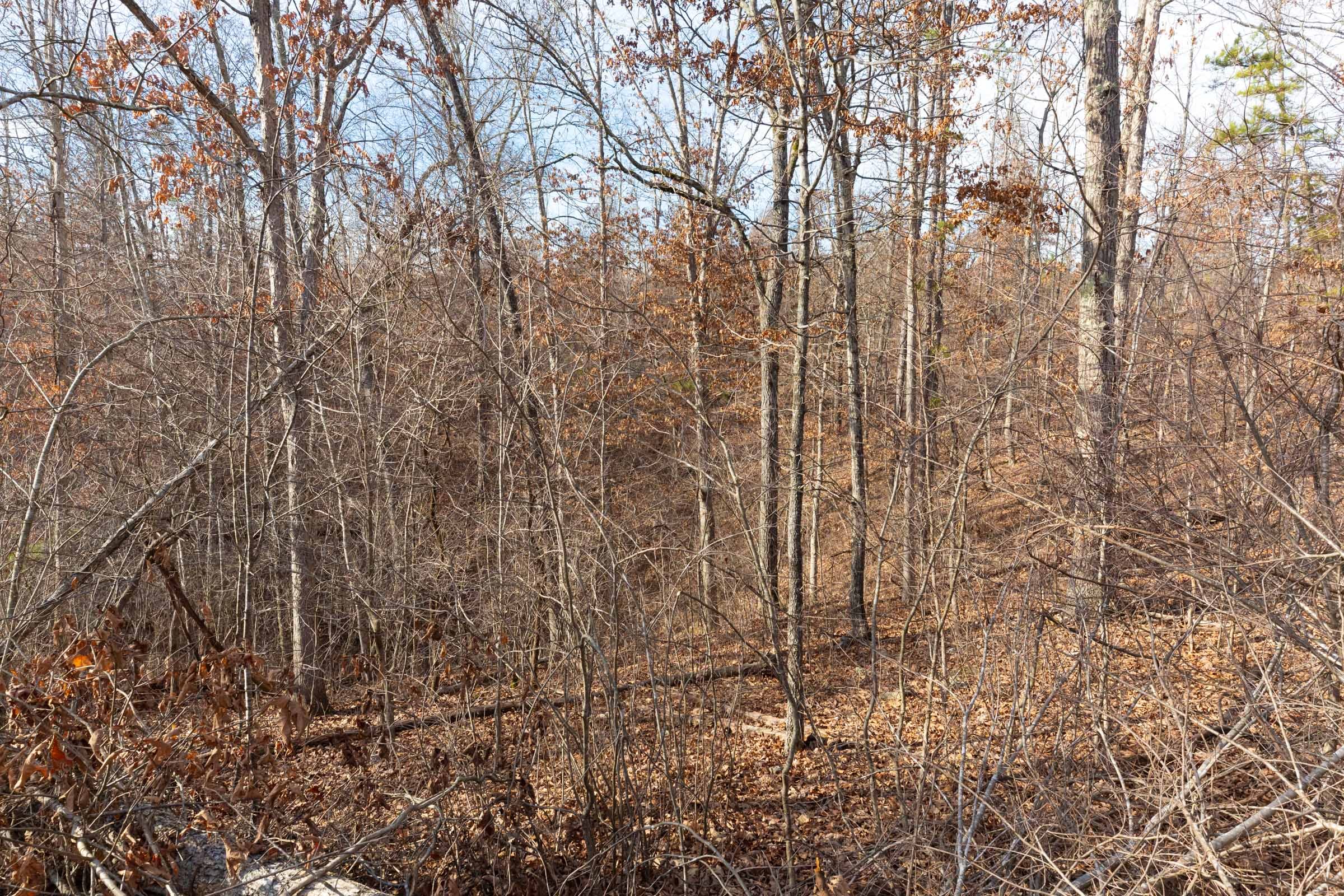 Windy Ridge Tract 7 photo 5