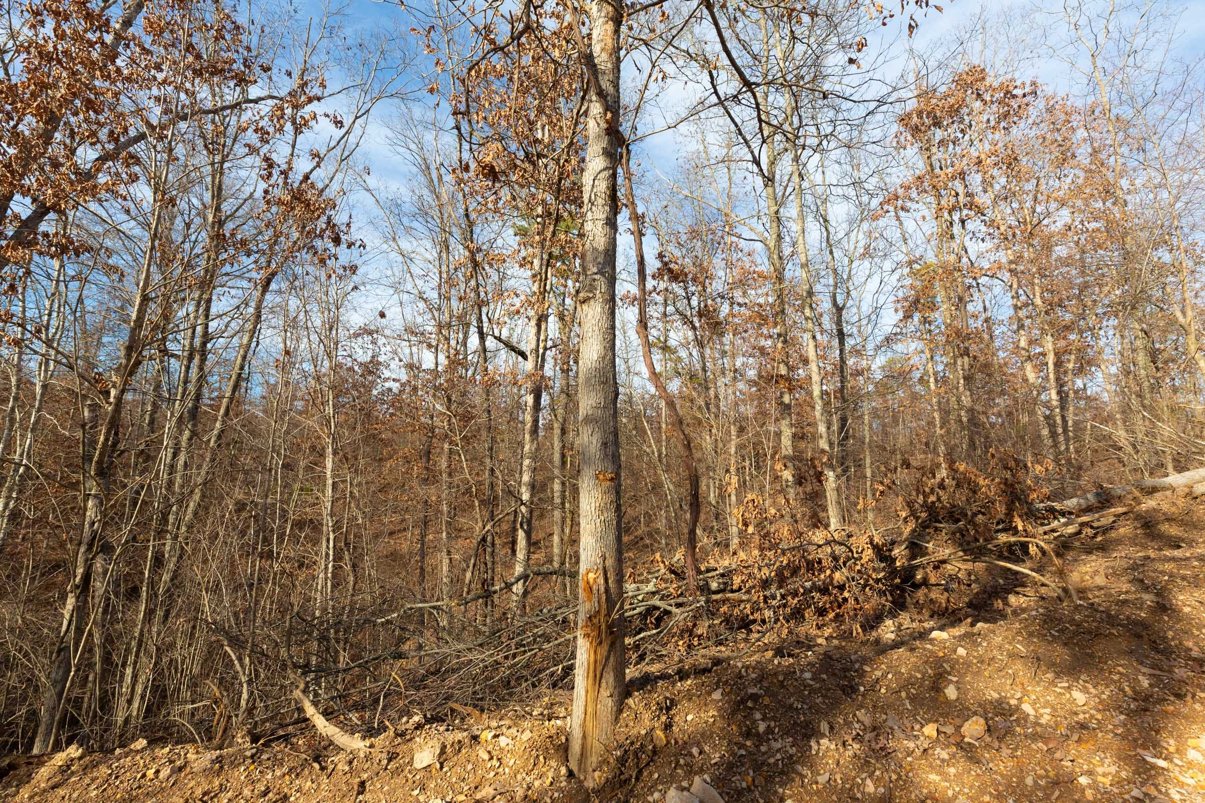 Windy Ridge Tract 7 photo 6