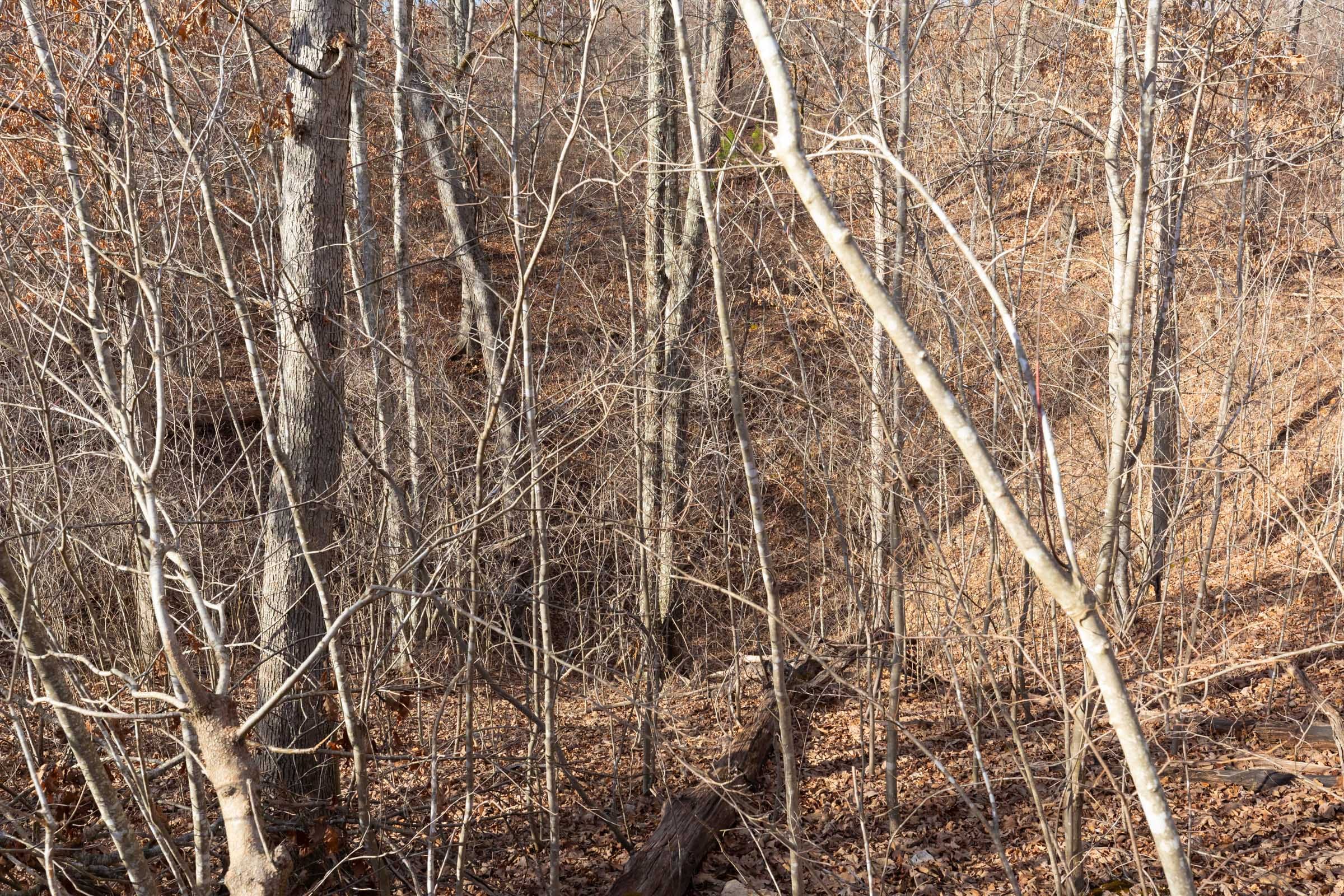 Windy Ridge Tract 7 photo 8