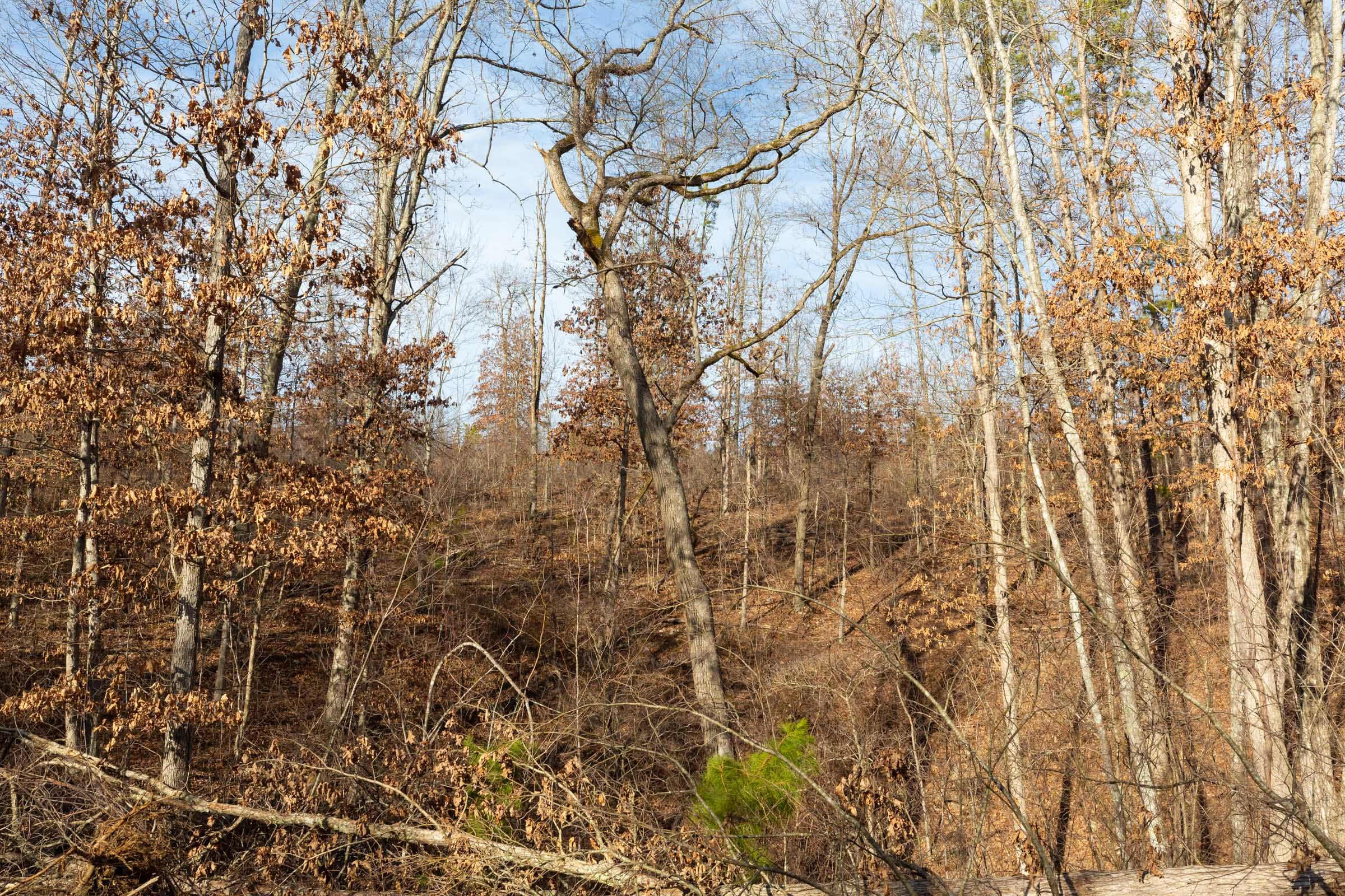 Windy Ridge Tract 7 photo 9