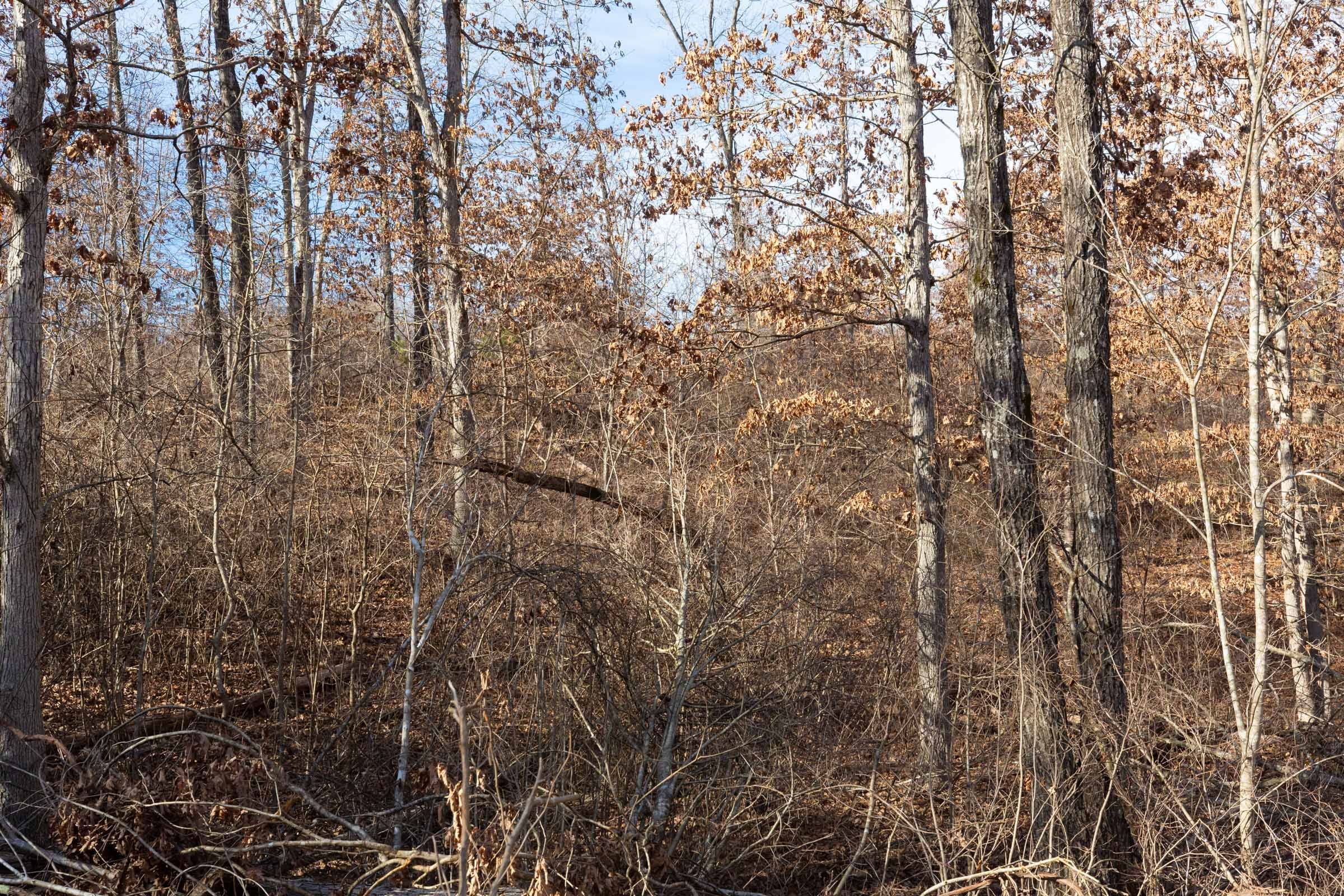 Windy Ridge Tract 7 photo 11
