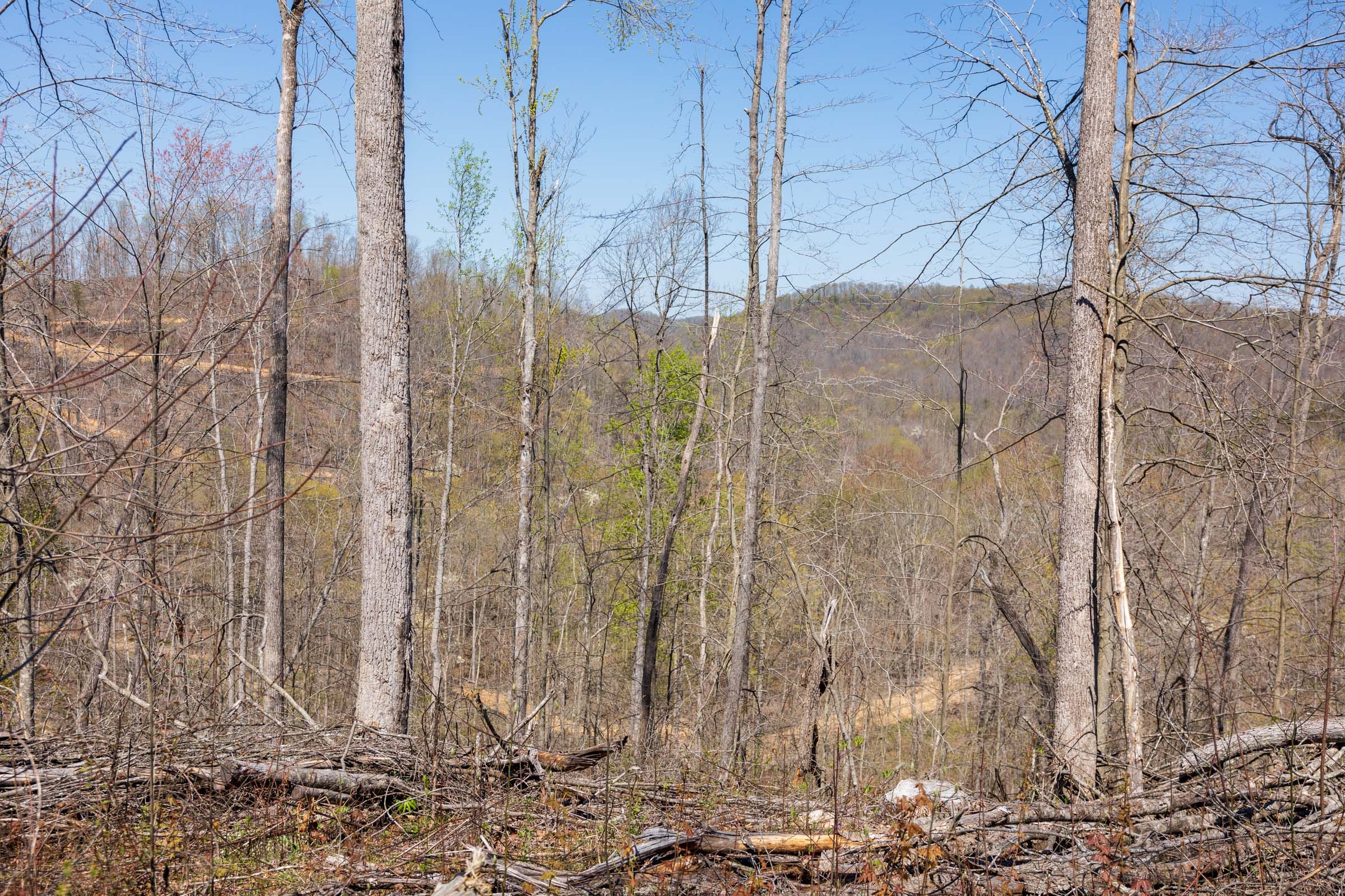 Creek Hollow Phase I Tract 45 photo 2