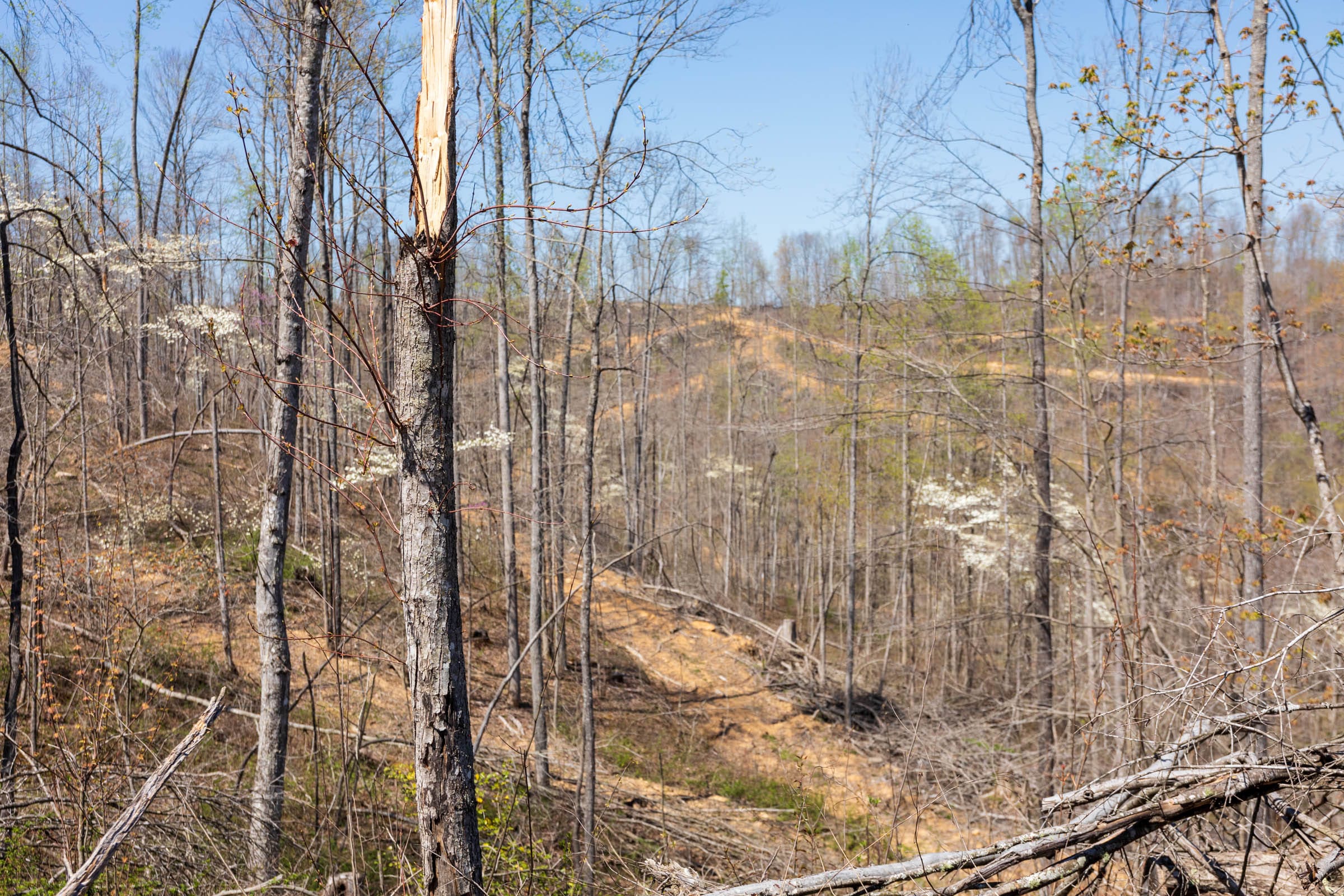 Creek Hollow Phase I Tract 45 photo 3