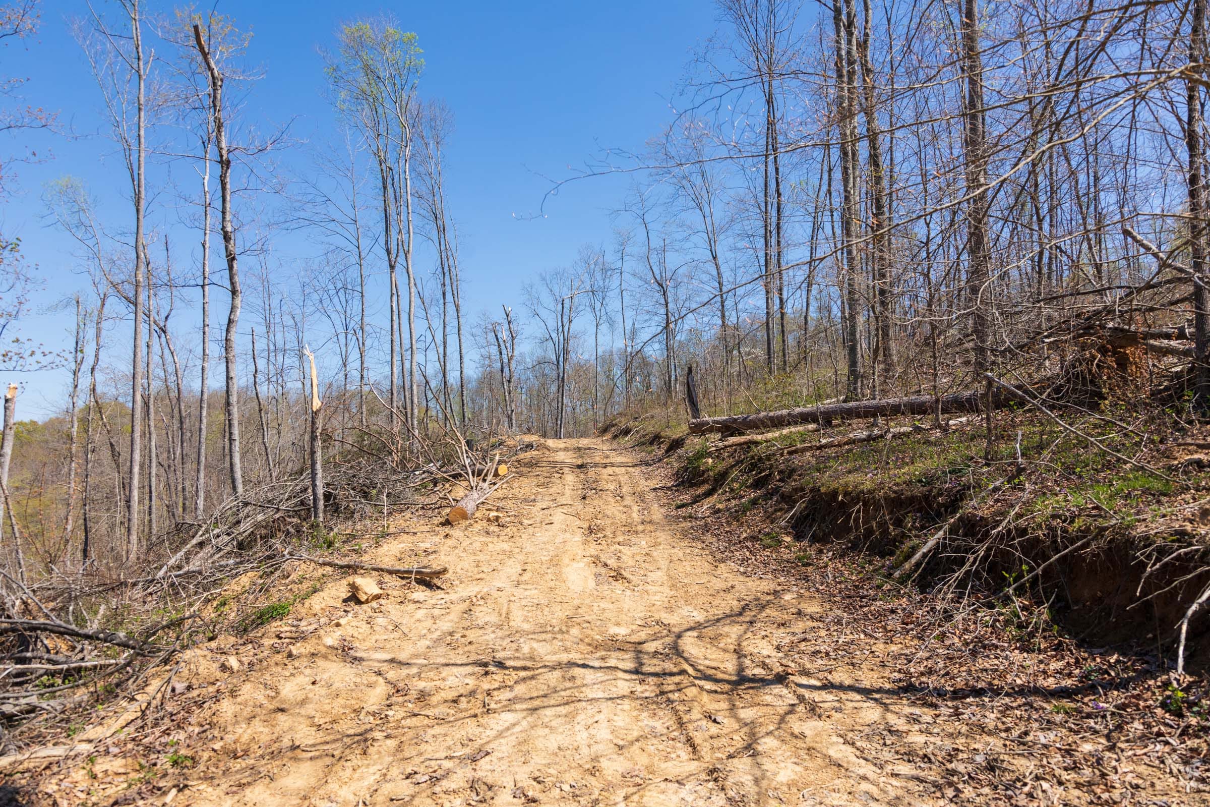 Creek Hollow Phase I Tract 45 photo 1