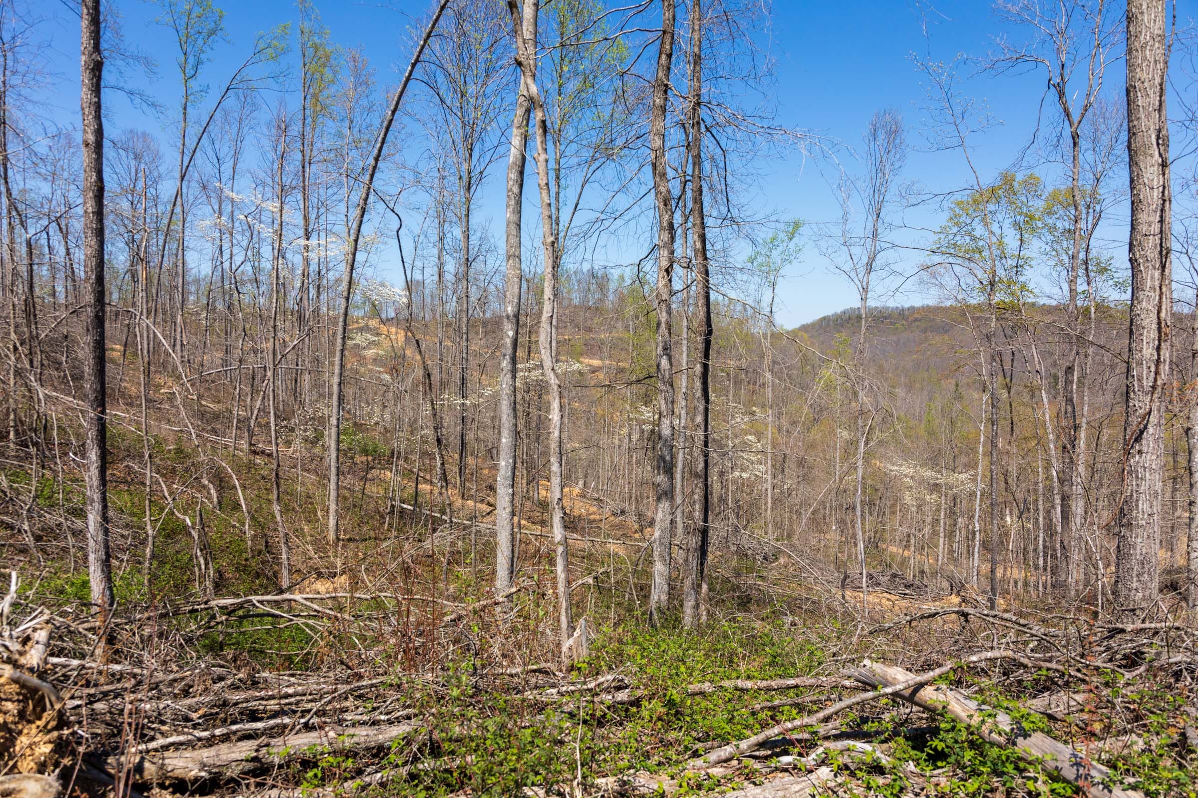 Creek Hollow Phase I Tract 45 photo 5