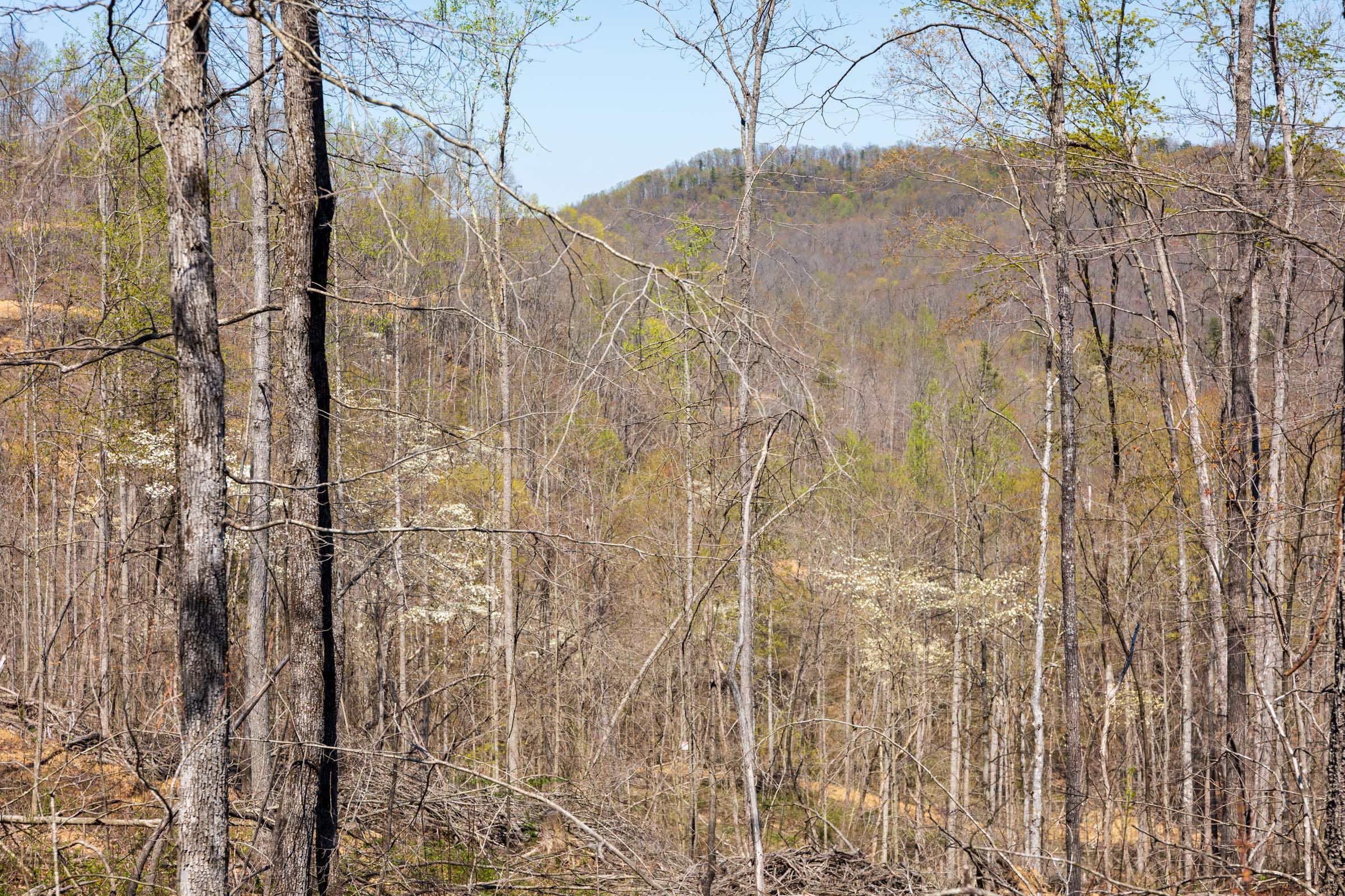 Creek Hollow Phase I Tract 45 photo 6