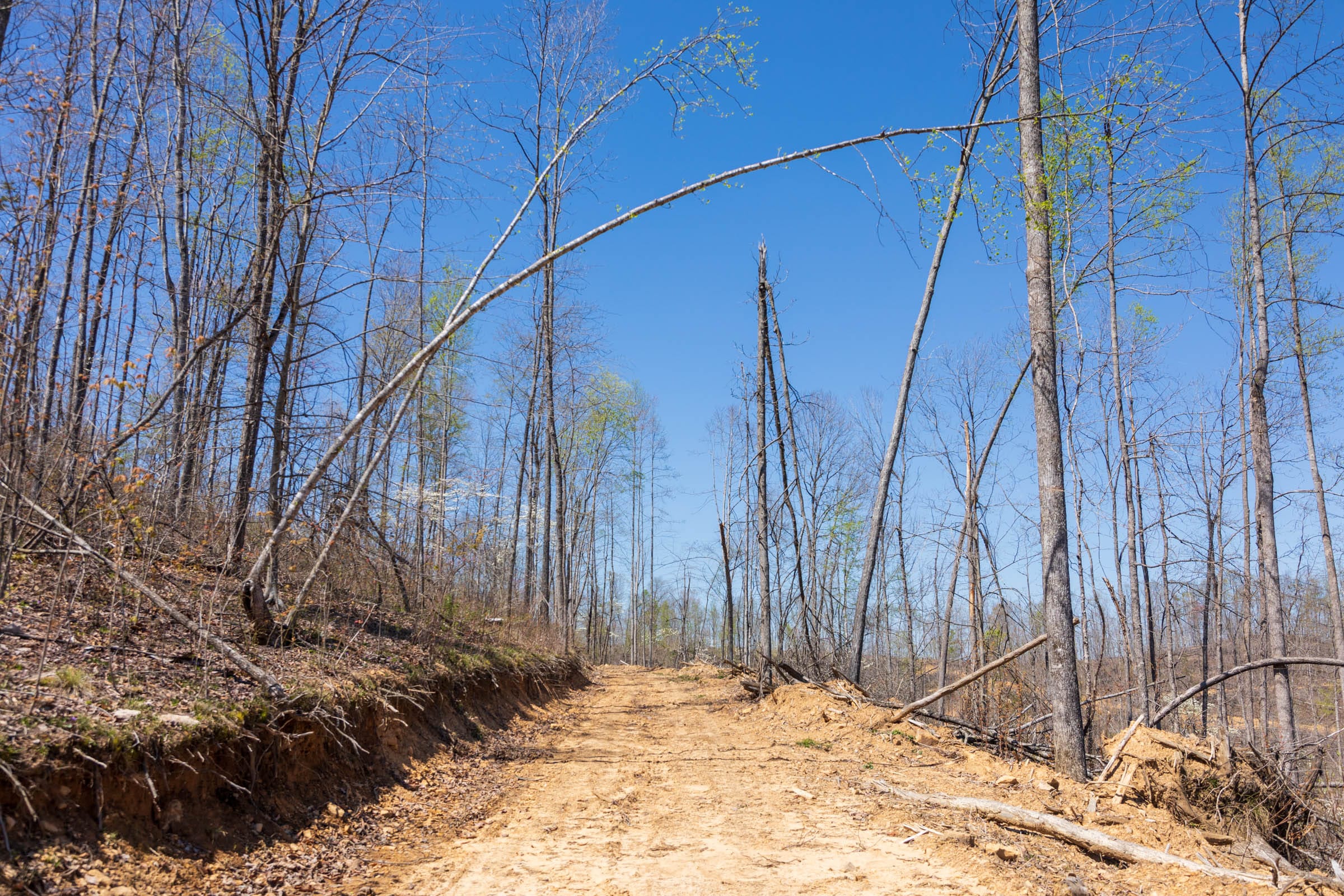 Creek Hollow Phase I Tract 45 photo 4